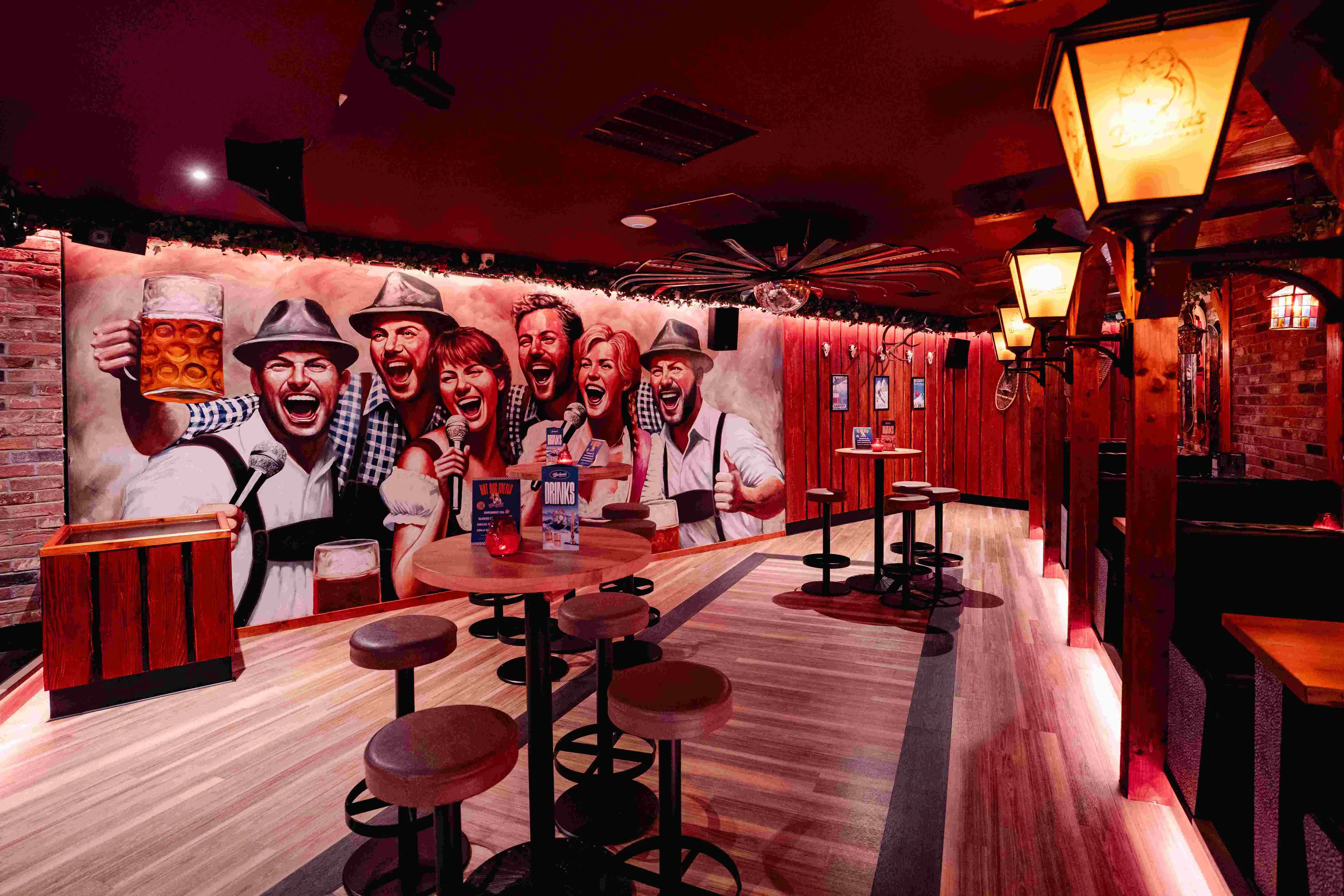 Karaoke Room, Barbara's Bier Haus Bristol photo #2