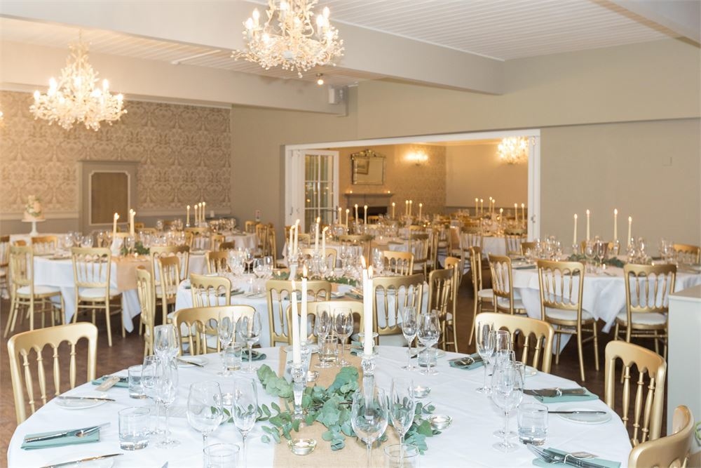 Photo of The Elephant