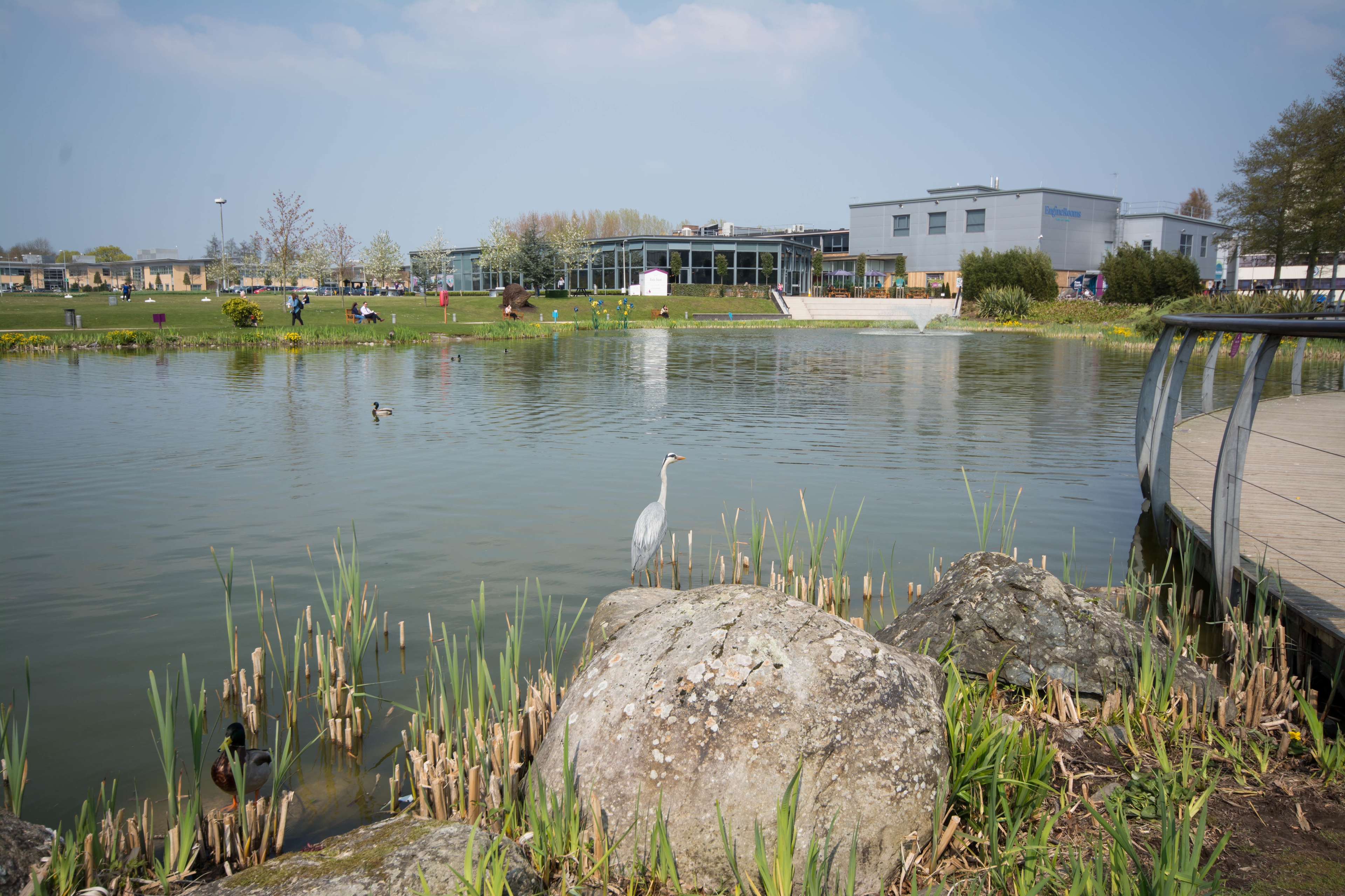 Photo of The Engine Rooms, The Maple Suite