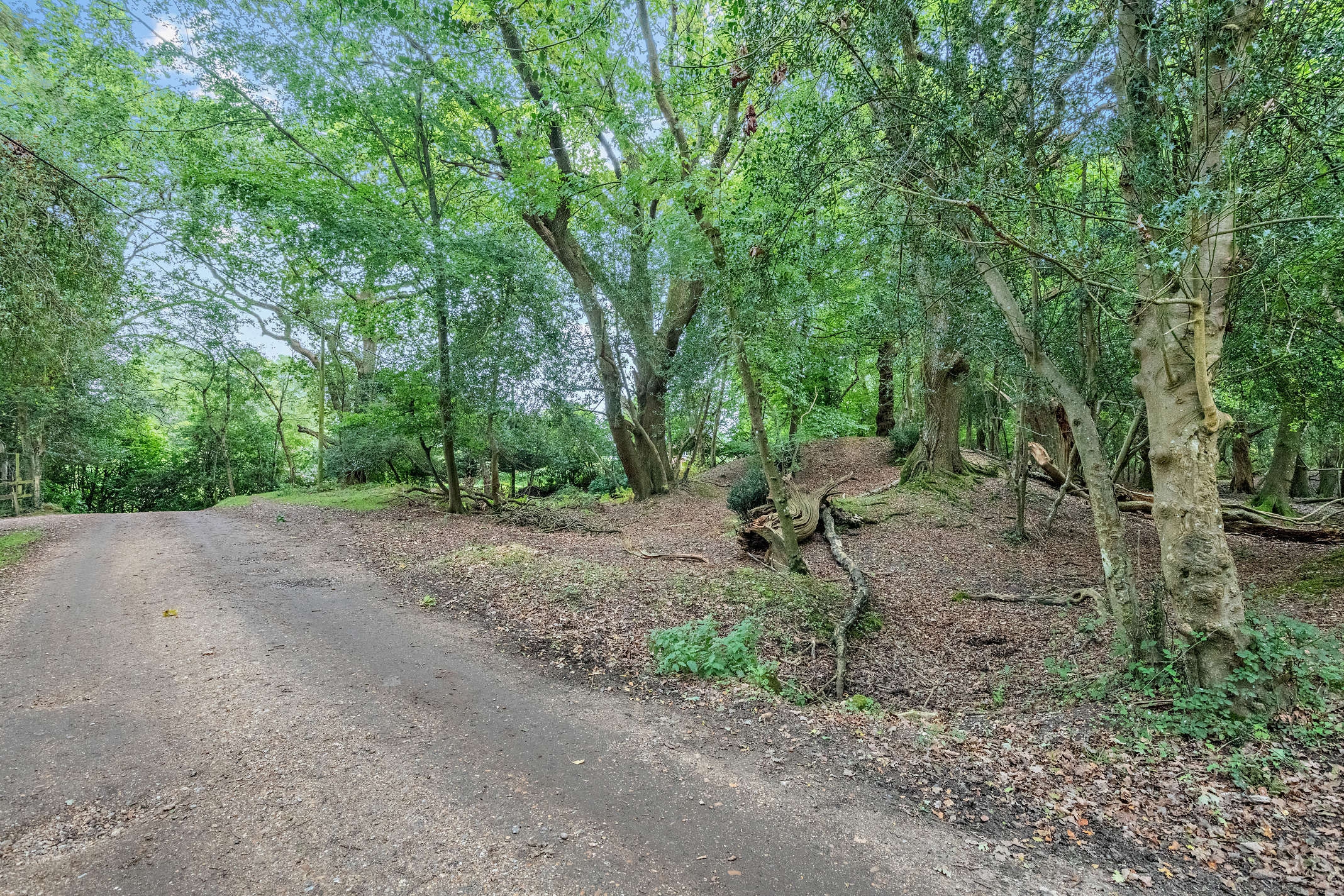 Photo of New Forest Lodge