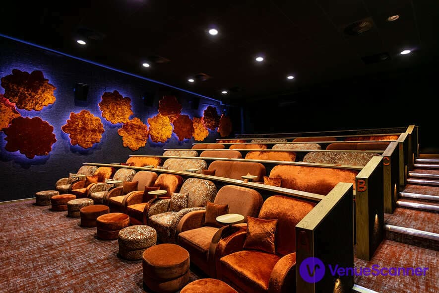 Private Cinema Hire, The Flower Bowl Entertainment Centre photo #2
