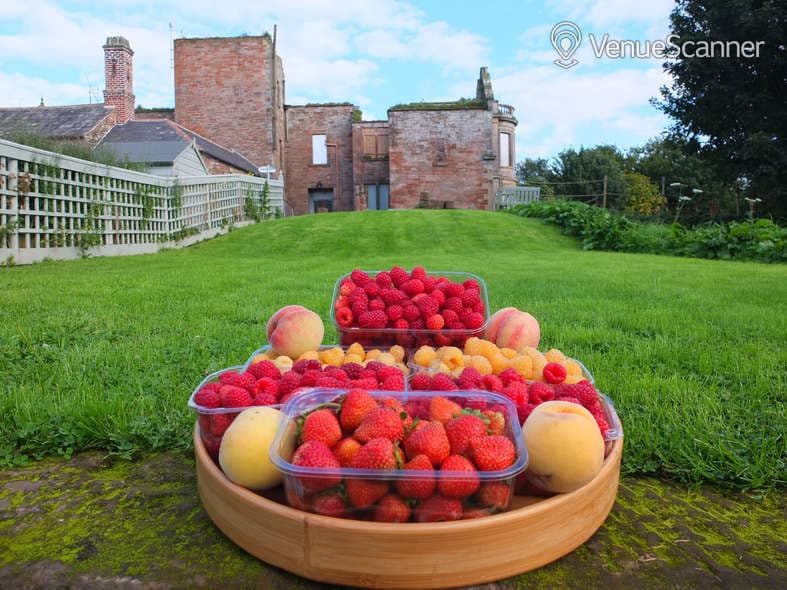 Kirklinton Hall & Gardens, Exclusive Hire photo #3