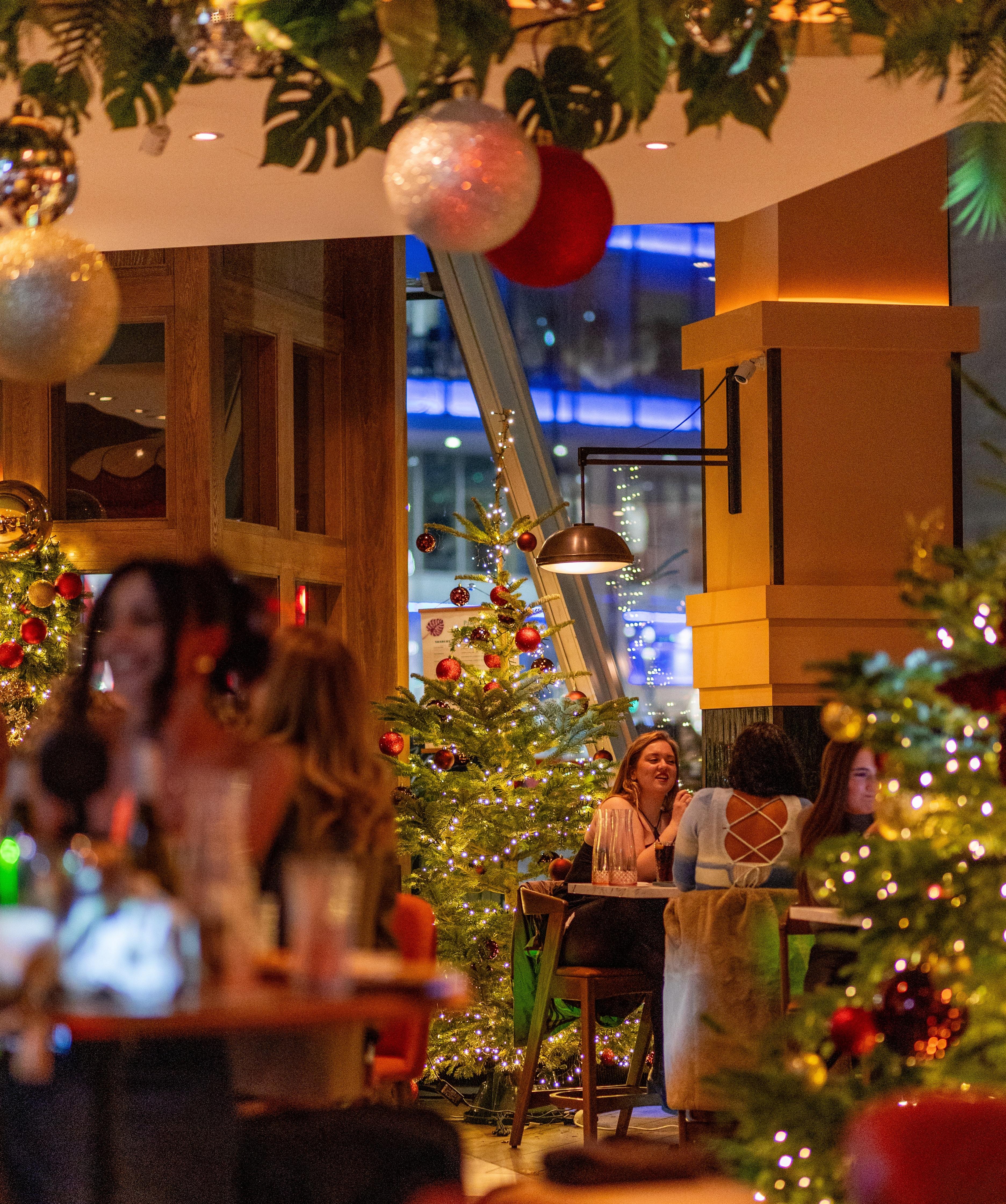 The Bar, The Palm House photo #2