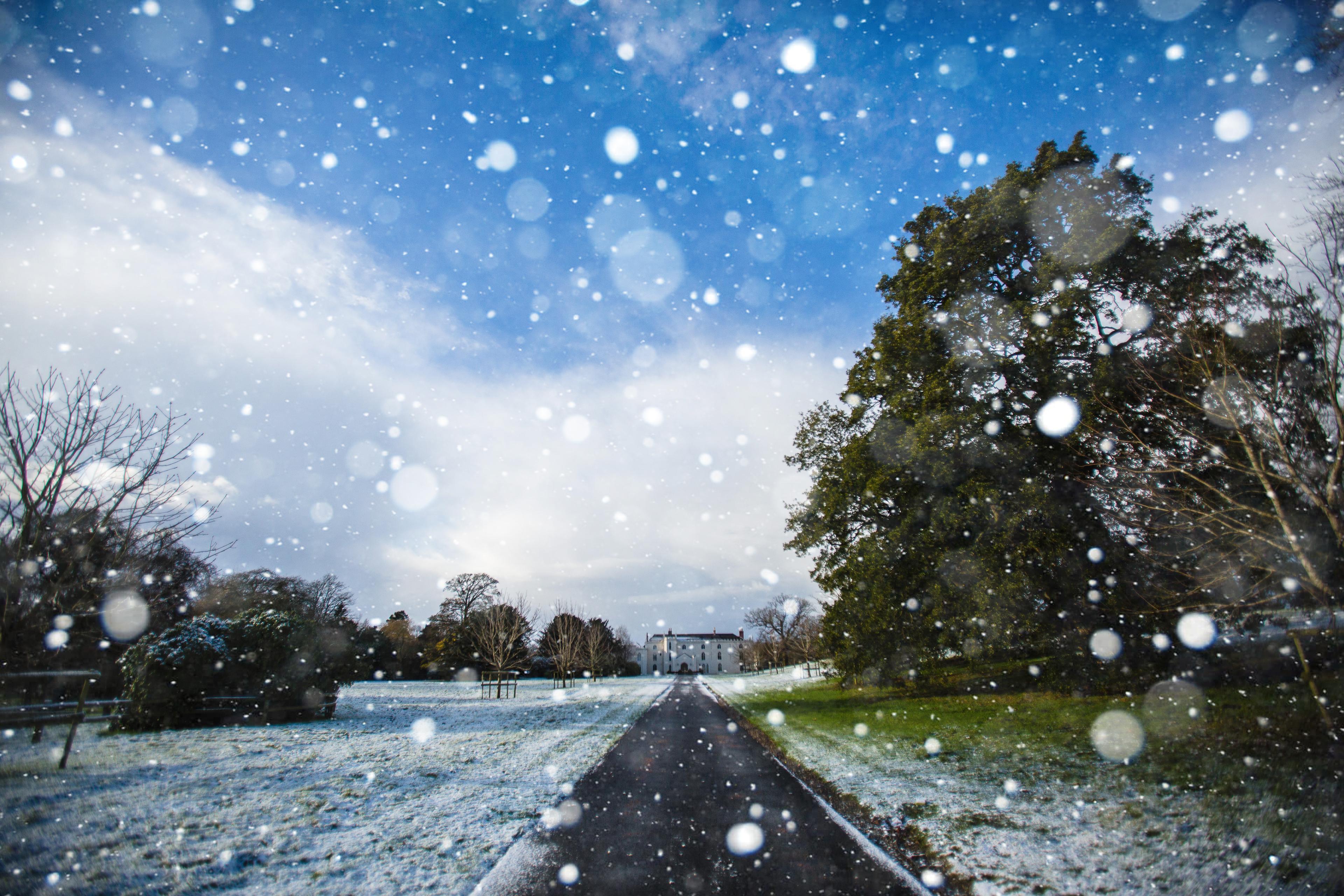 Combermere Abbey, Christmas Parties photo #0