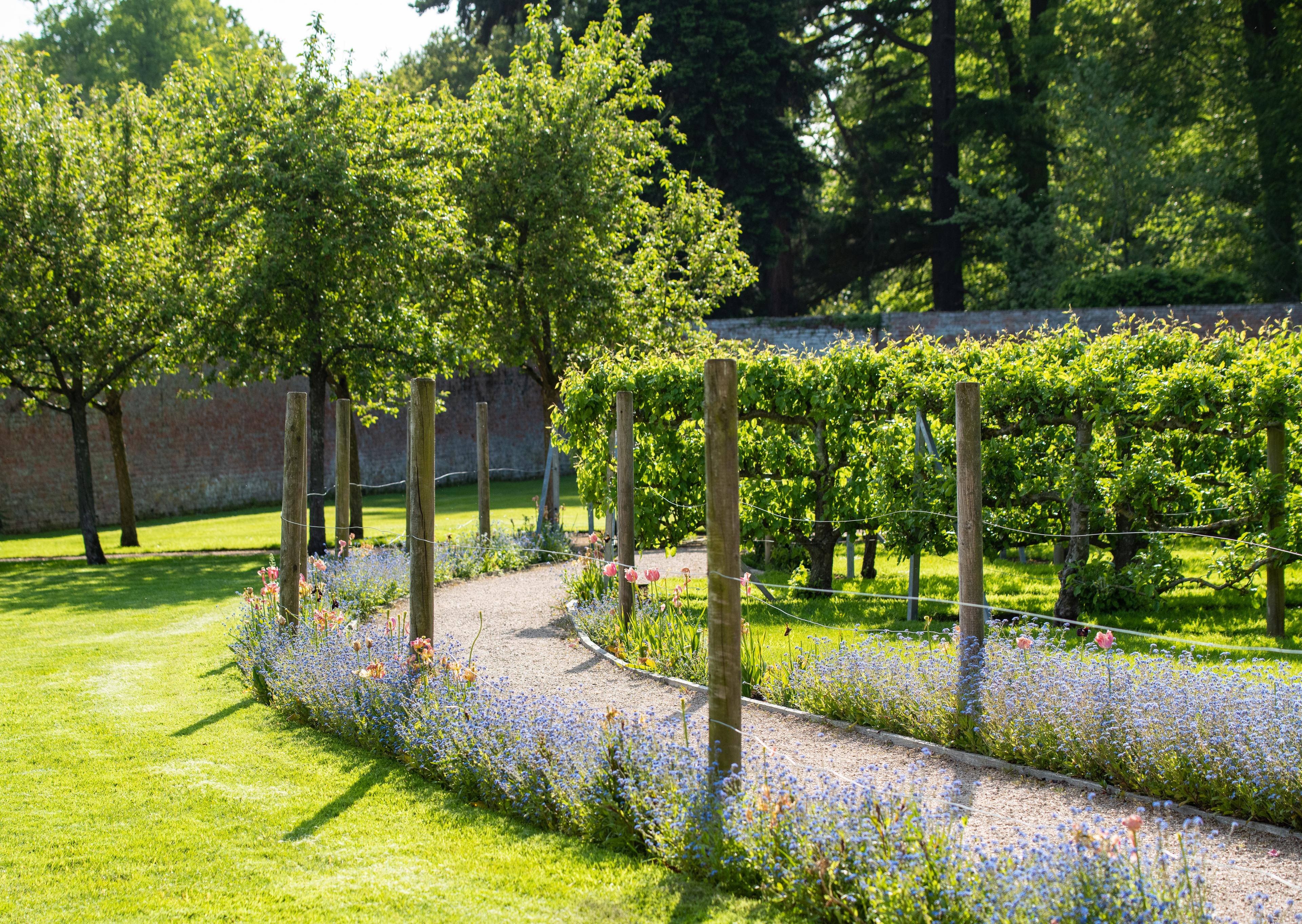 Ground Hire, Combermere Abbey photo #2