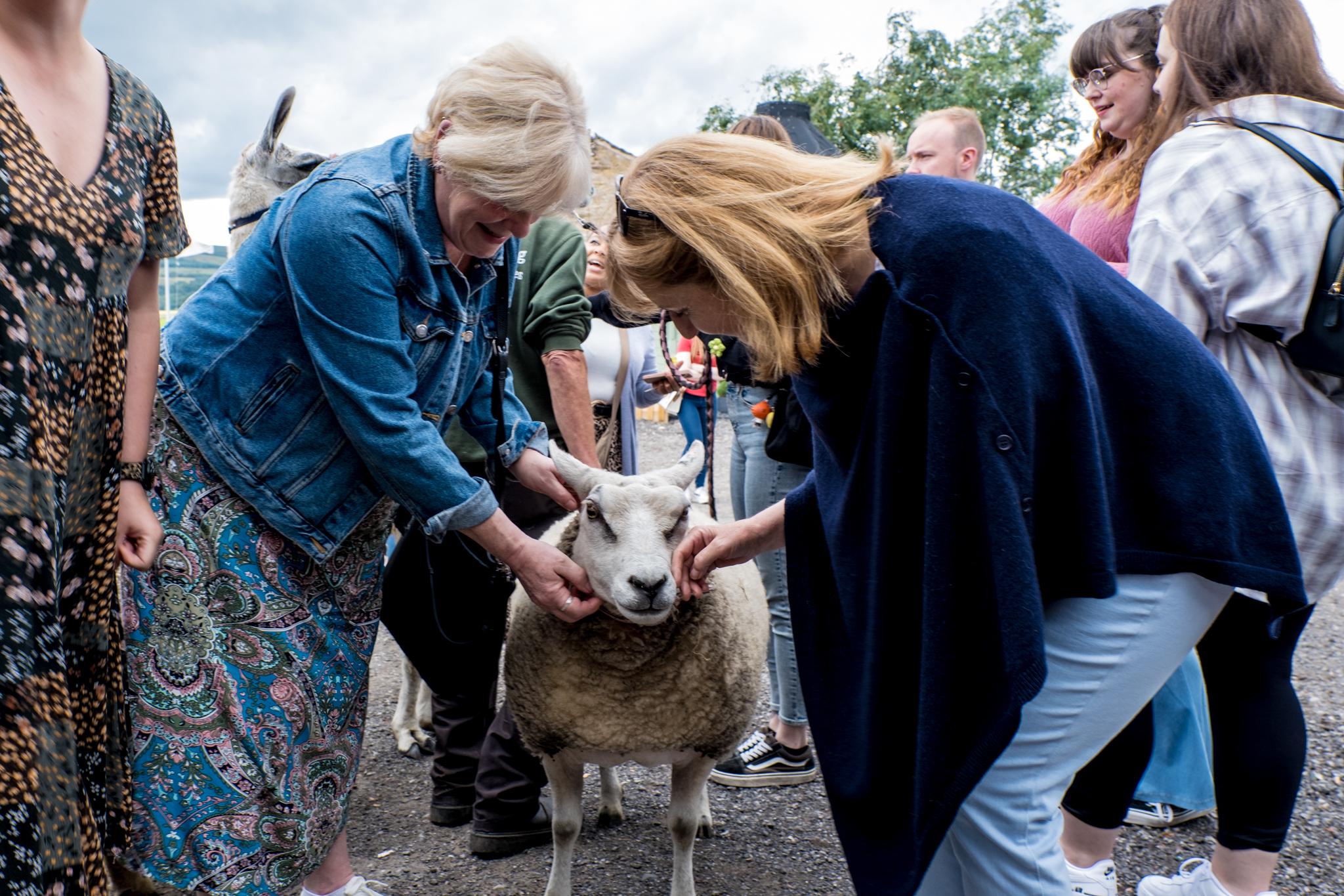 The Wellbeing Farm photo #64