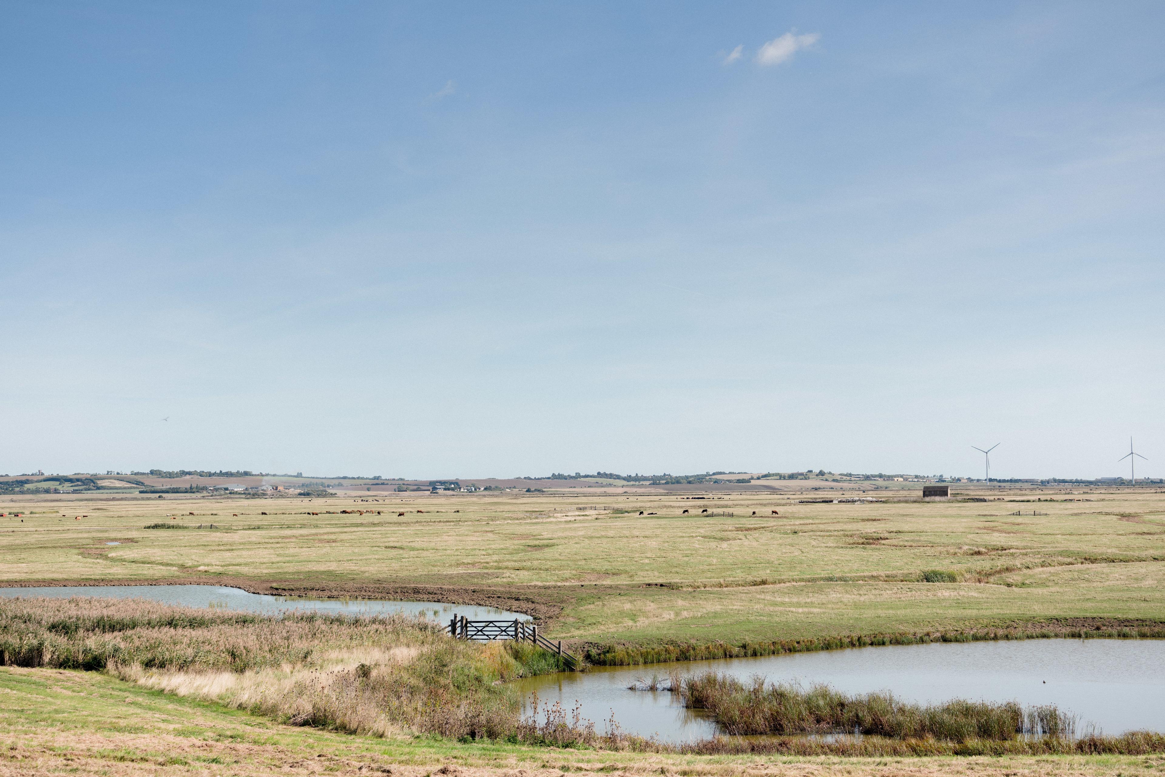 Exclusive Hire, Elmley photo #8