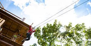 Go Ape Aberfoyle