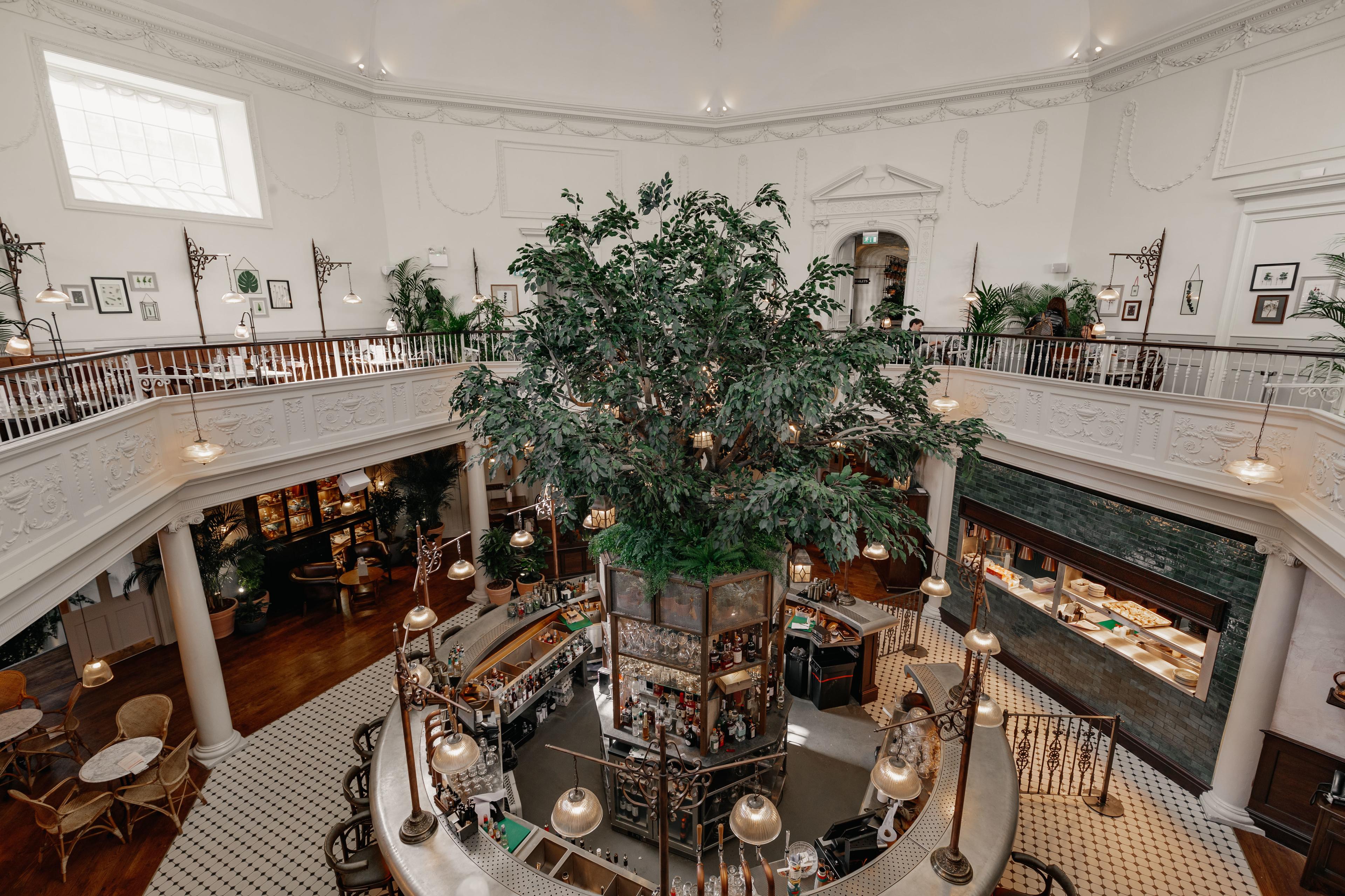 The Botanist Bath, Balcony Main Restaurant photo #3