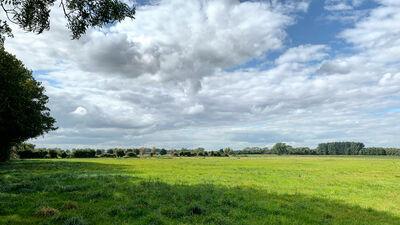 Knaves Acre Meadow