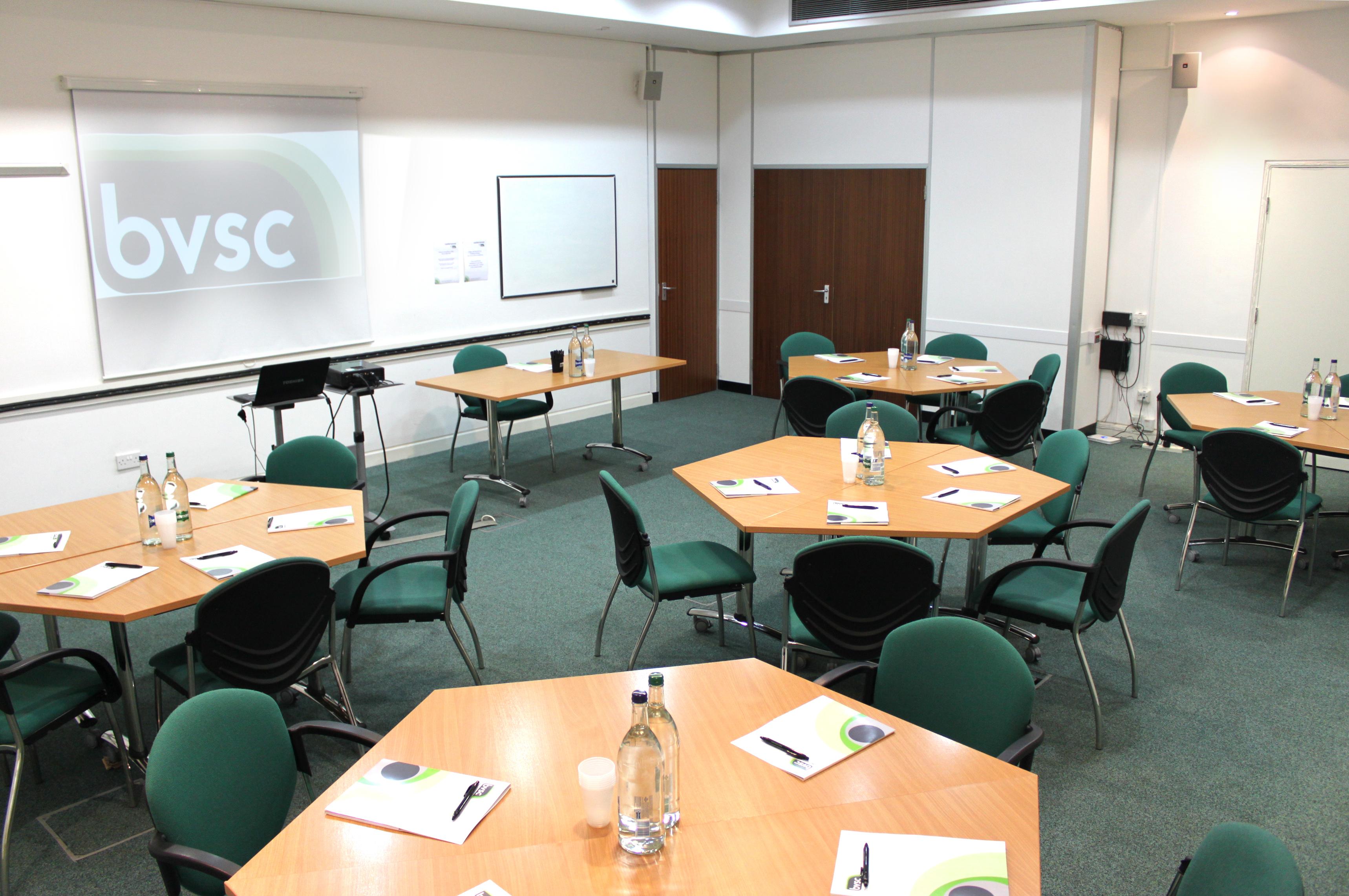 Conferences At BVSC, Room 4/5/6, undefined photo #2