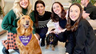 Dog Therapy Parties Perfect For Celebrations