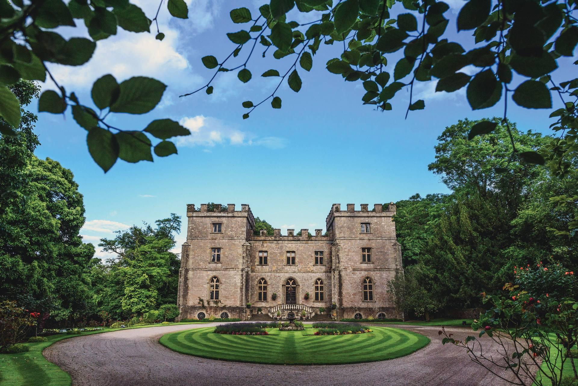 Clearwell Castle, The Library photo #3