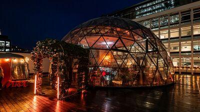 Roof Deck And Dome