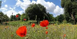 Gardens Or The Parkland