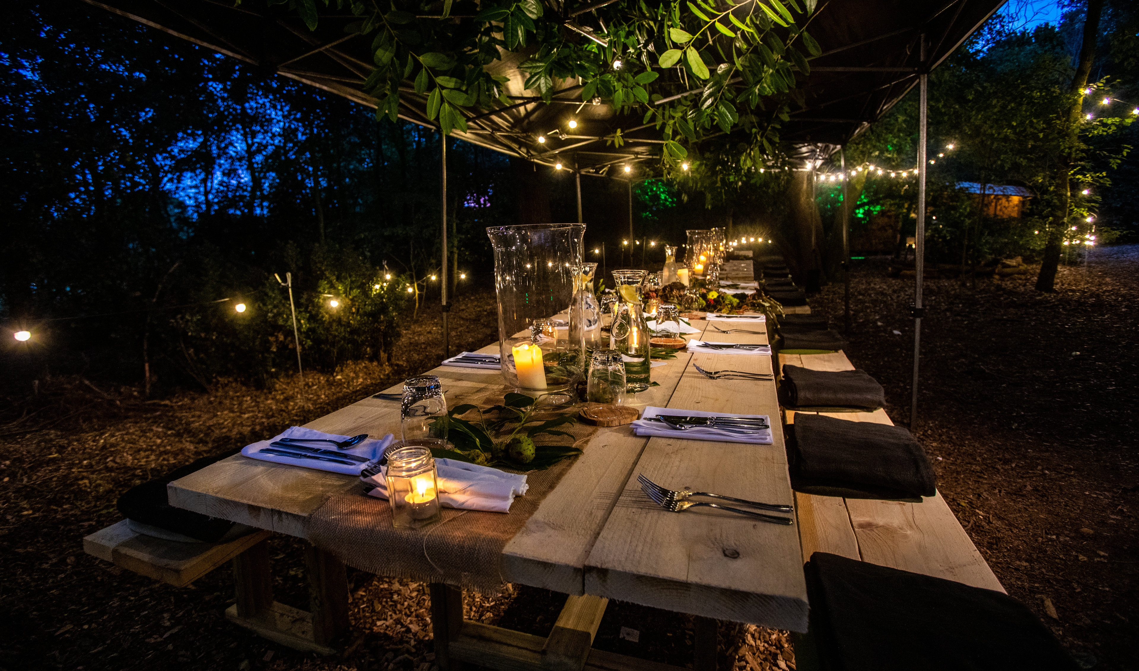 Photo of Braxted Park Estate, The Woodlands