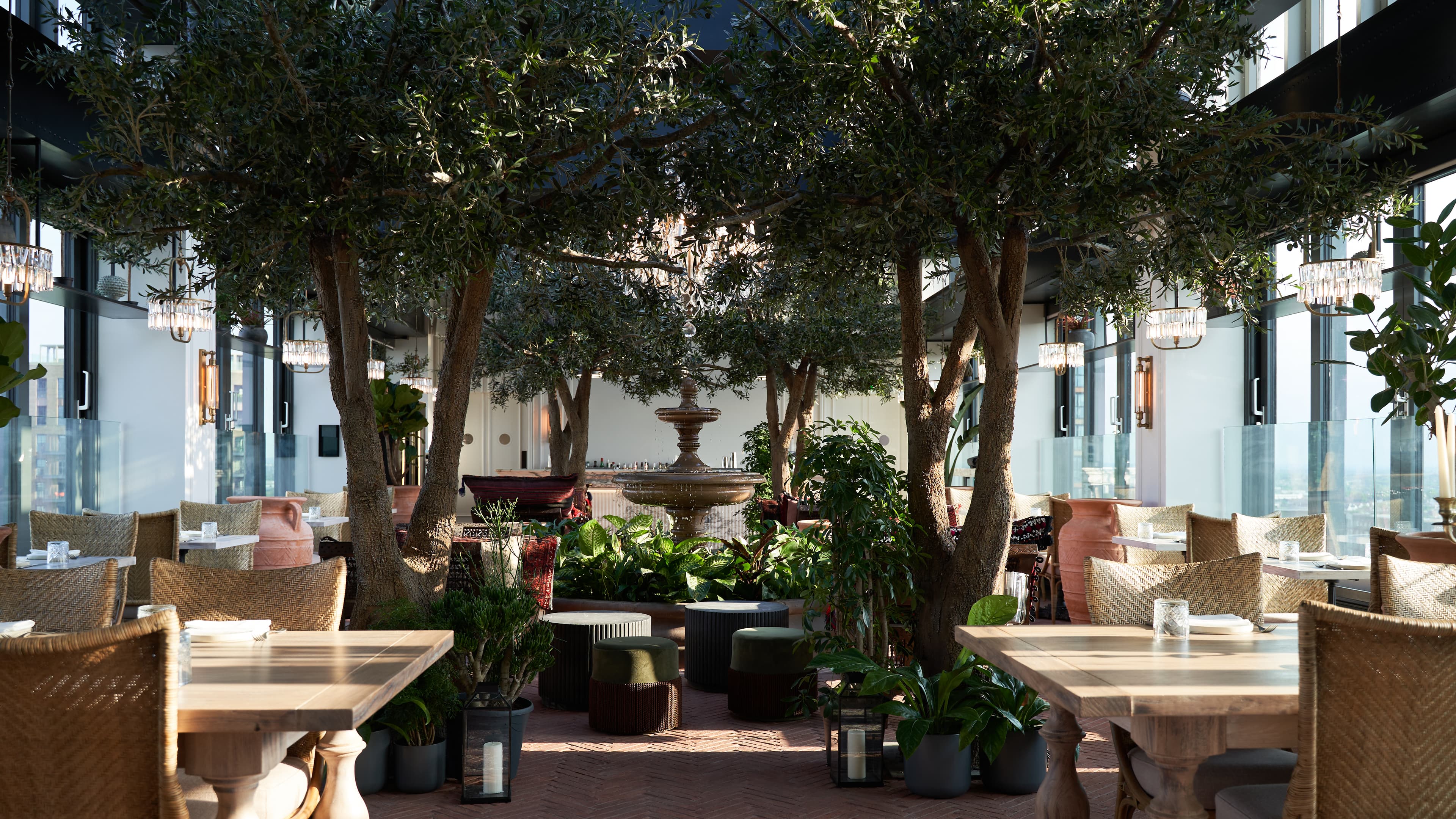 The Sky Garden, Dariana photo #3