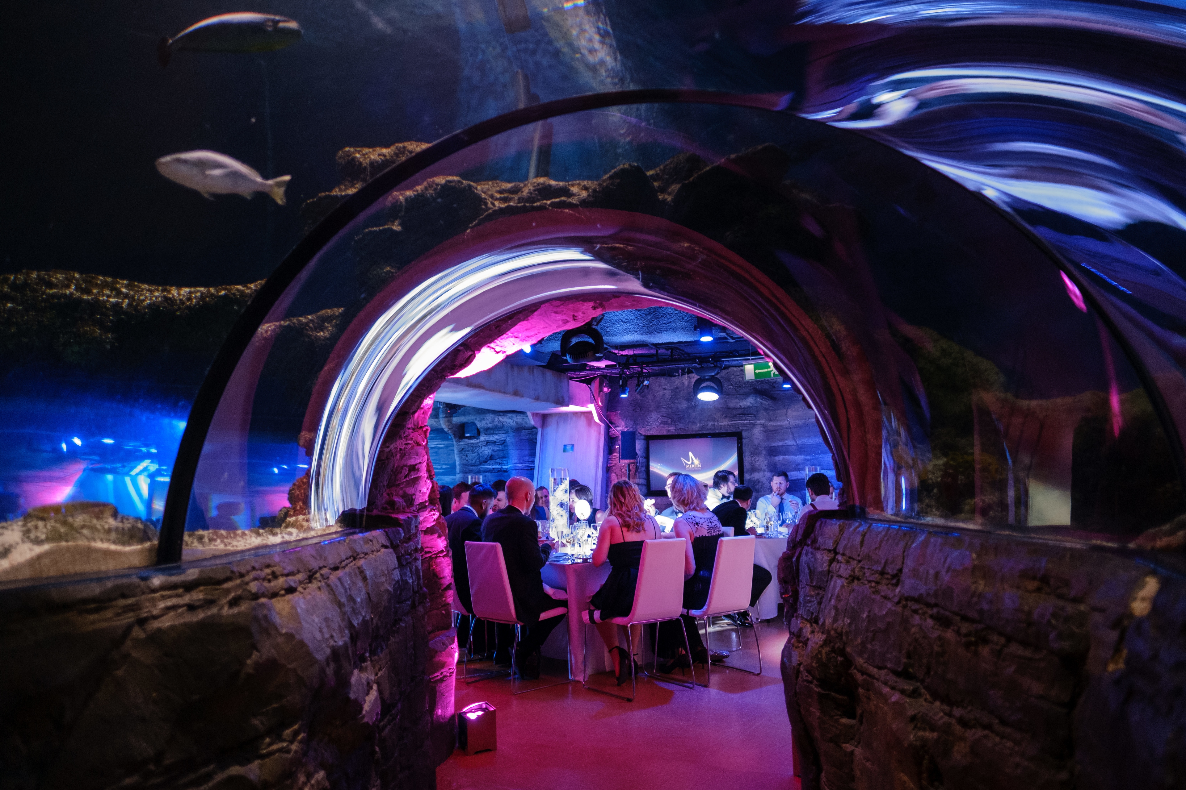 Photo of Sea Life London Aquarium, Whole Venue