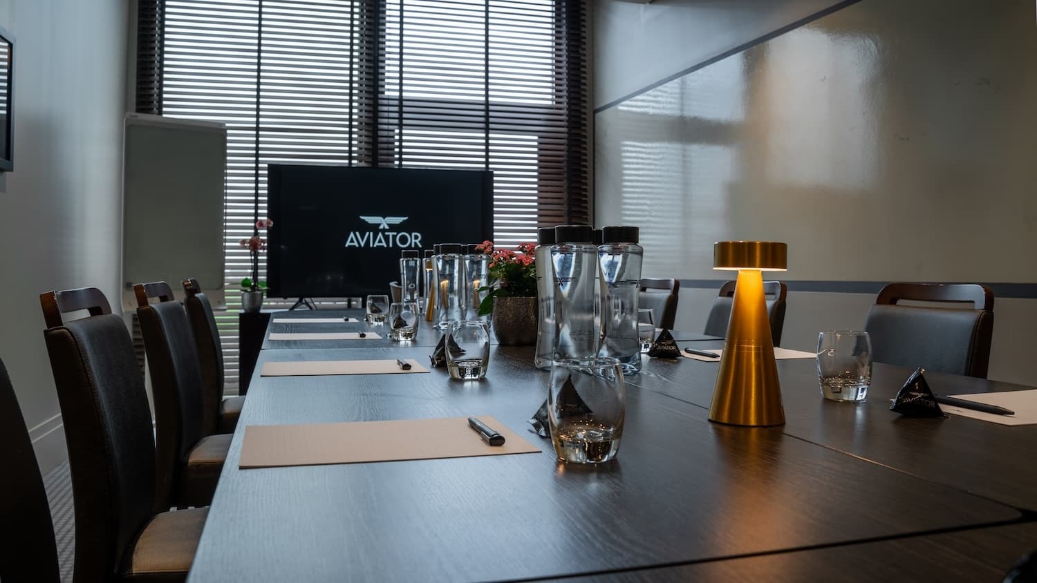 Aviator, Bleriot photo #2