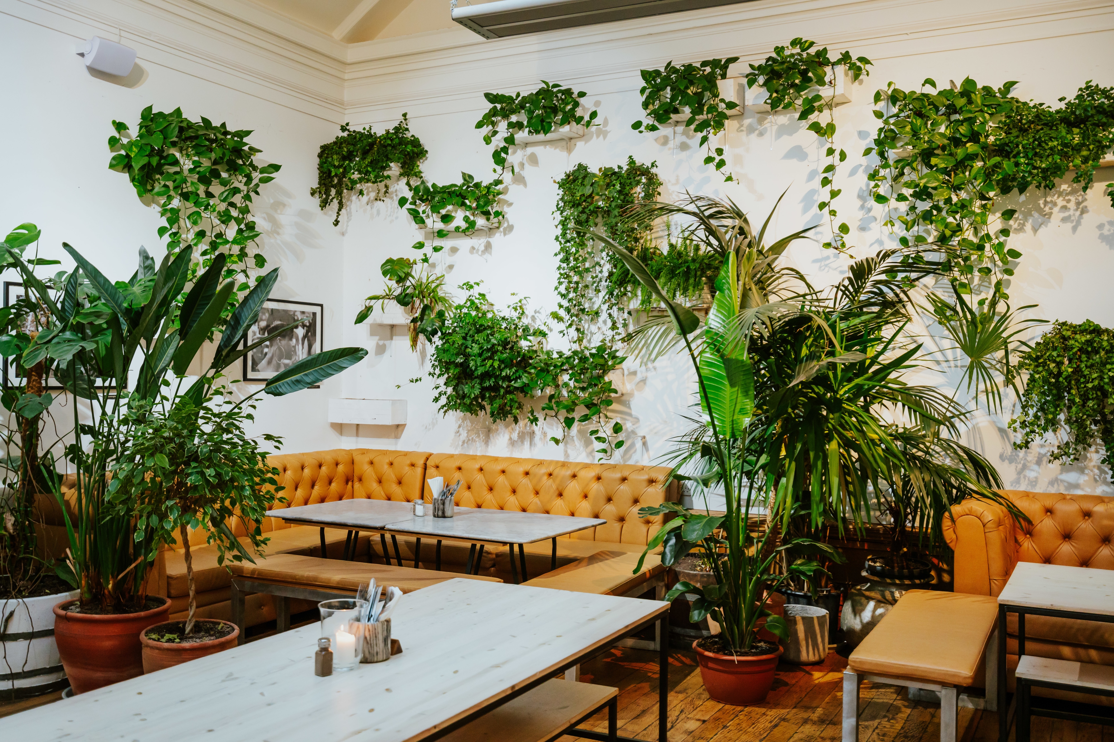 Photo of Medicine Restaurant & Gallery, Exclusive Hire