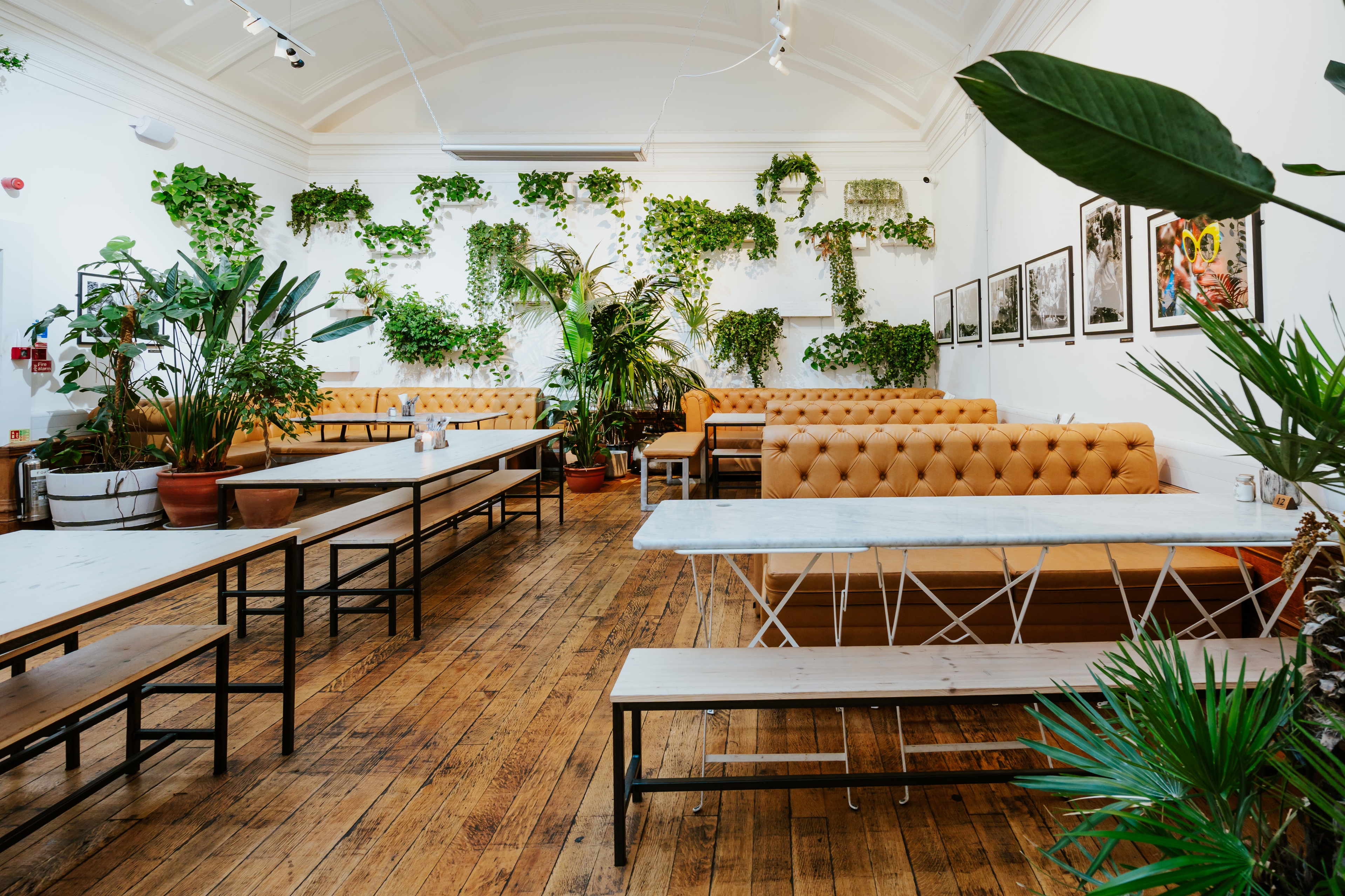 Photo of Medicine Restaurant & Gallery, Exclusive Hire