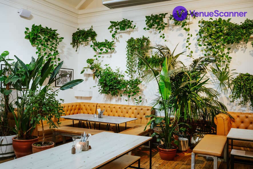 Exclusive Hire, Medicine Restaurant & Gallery photo #6