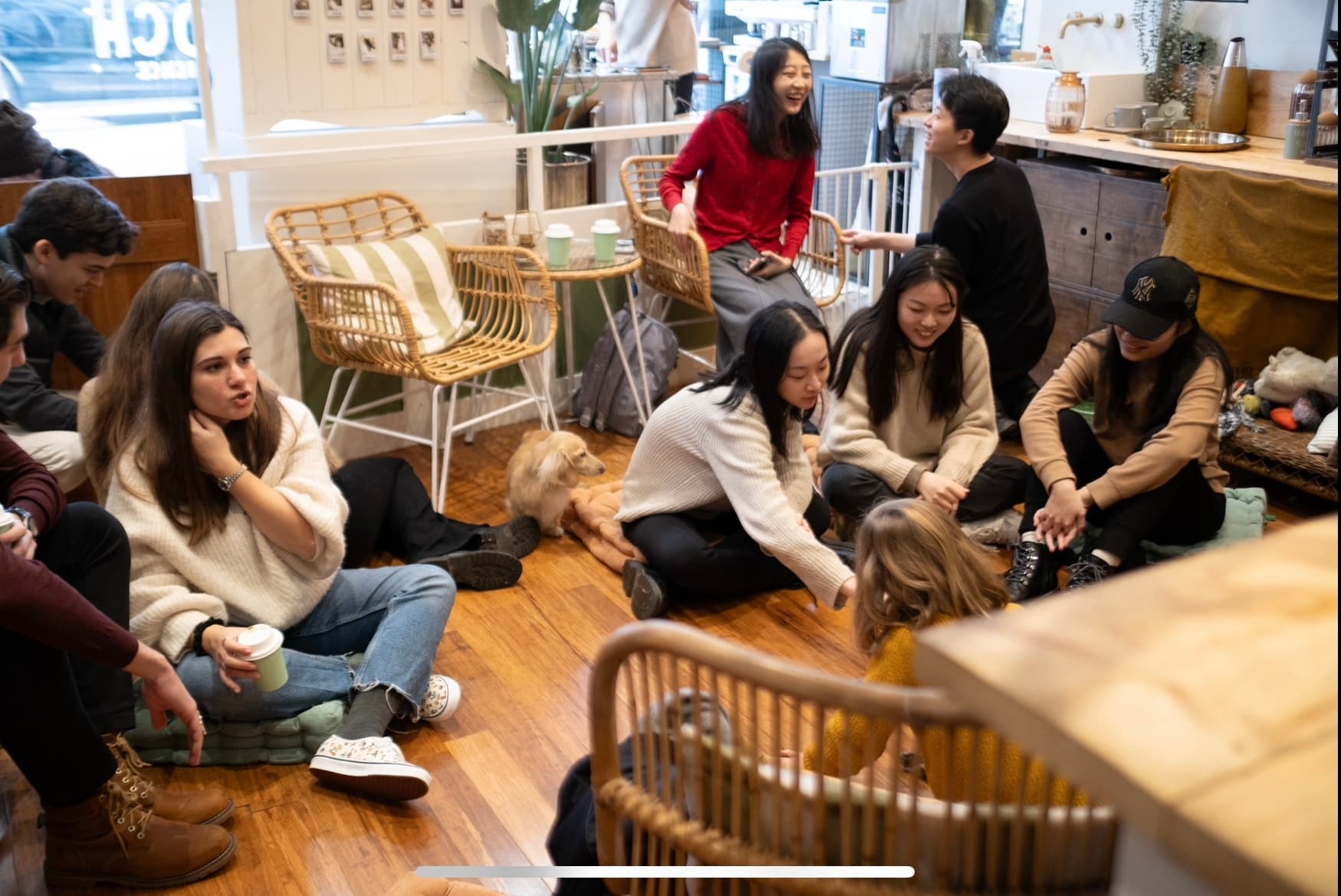 Kings Dog Daycare, Cafe Area photo #2