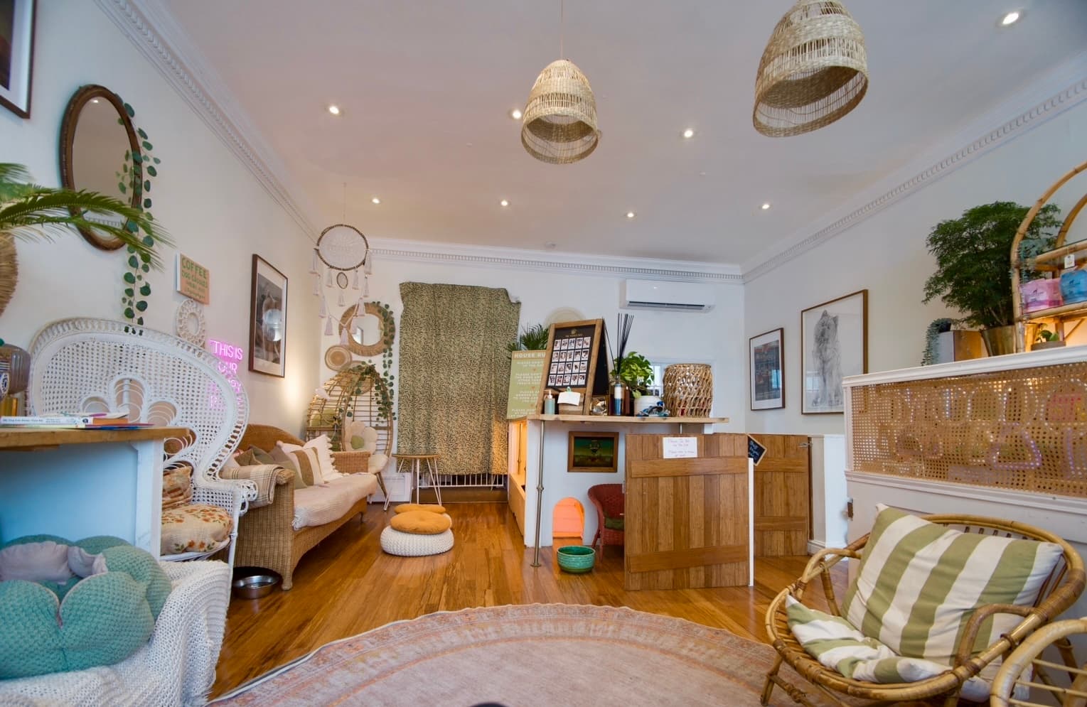 Kings Dog Daycare photo #2