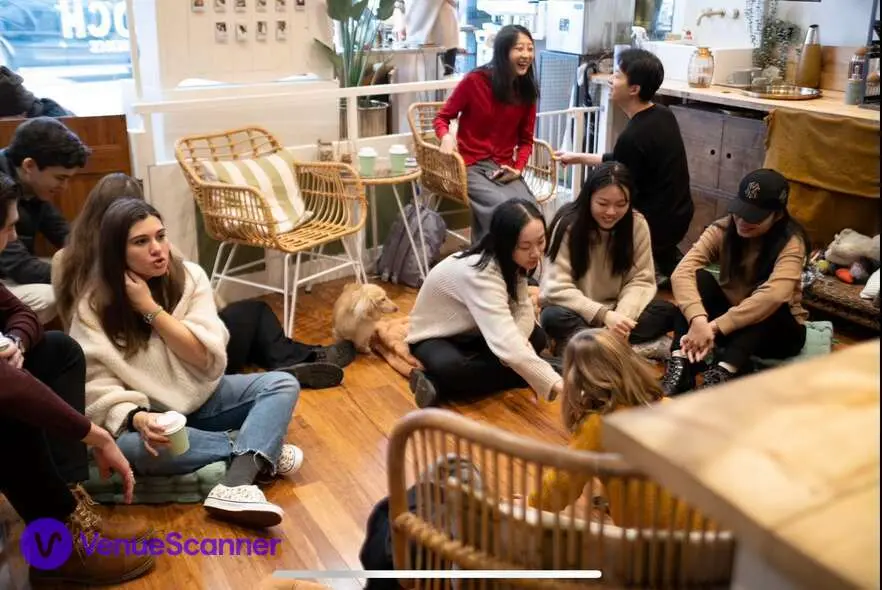 Cafe Area, Kings Dog Daycare photo #2