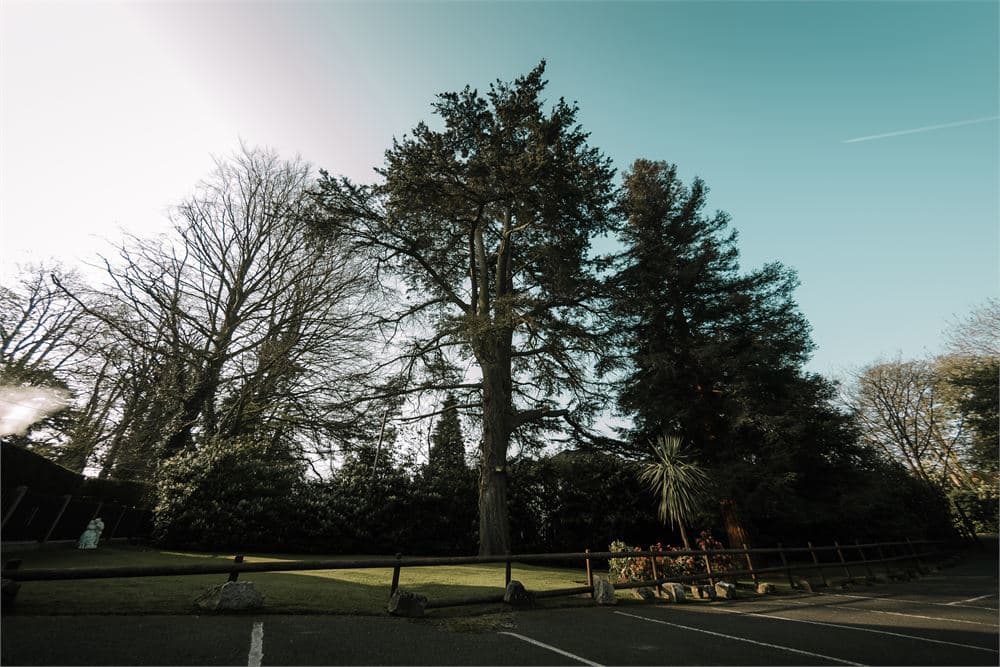 The Grange And Cavendish Country Houses photo #2