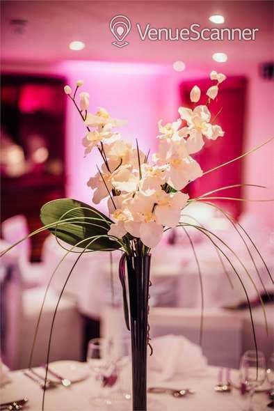 Exclusive Hire, Palm Court Hotel photo #5