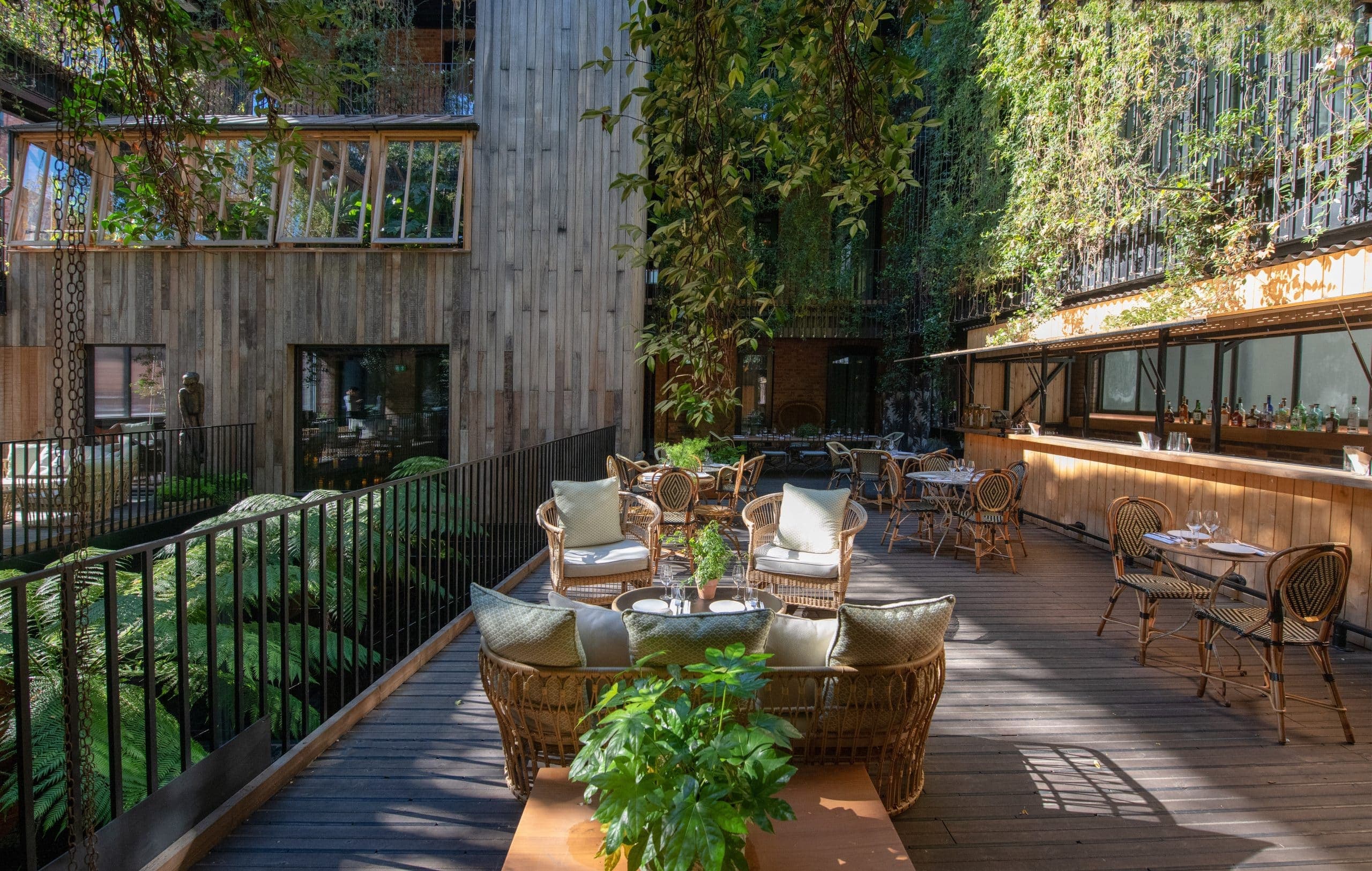 JUREMA Terrace, The Mandrake photo #2