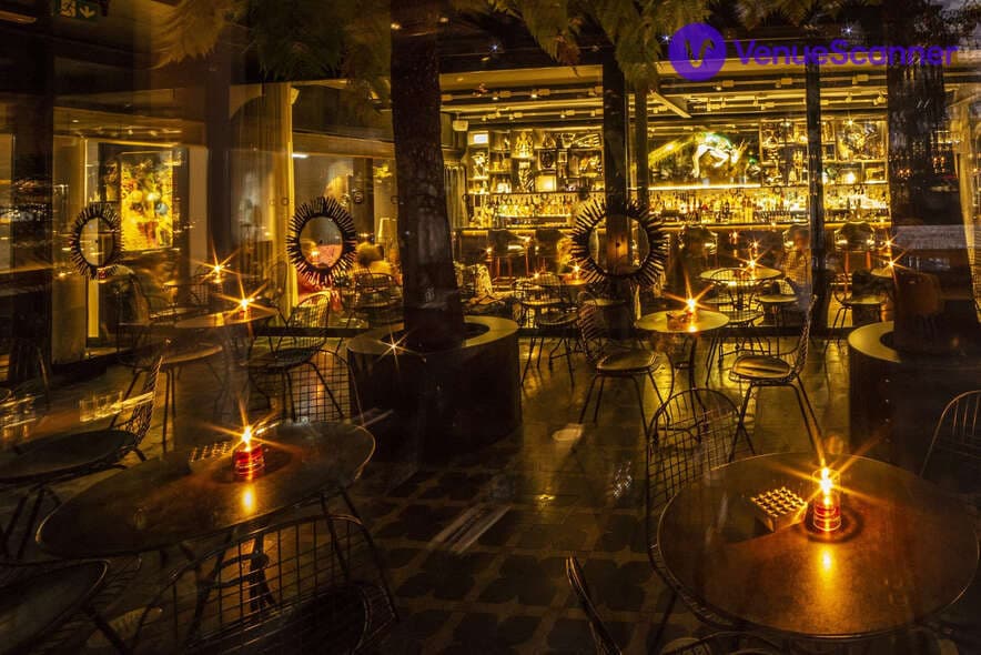 Exclusive Hire, The Mandrake photo #1