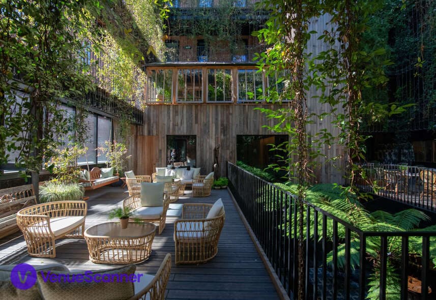 JUREMA Terrace, The Mandrake photo #1