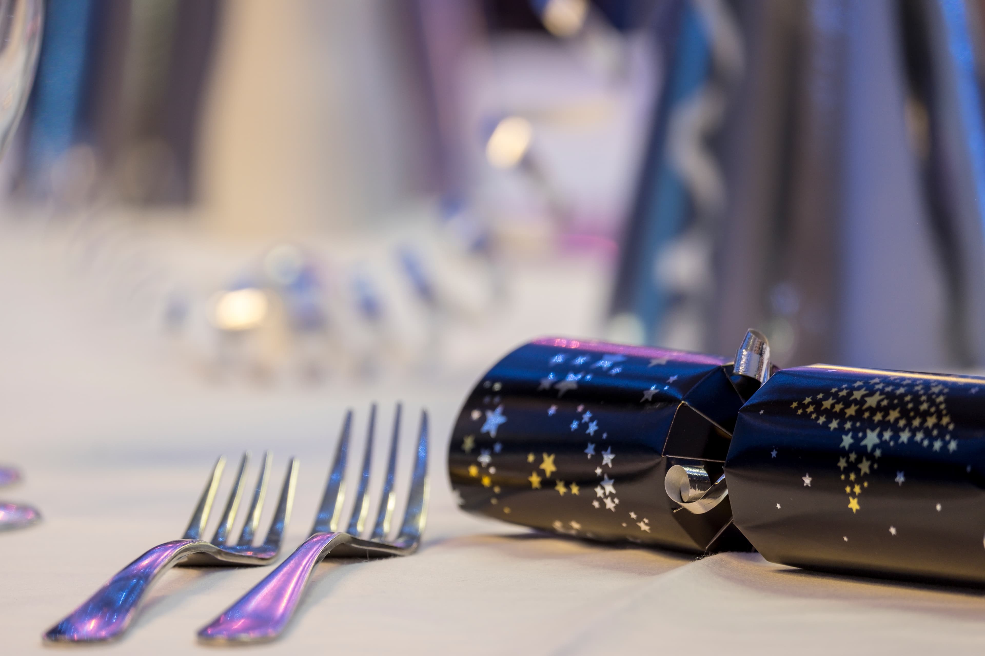 Christmas Shared Parties