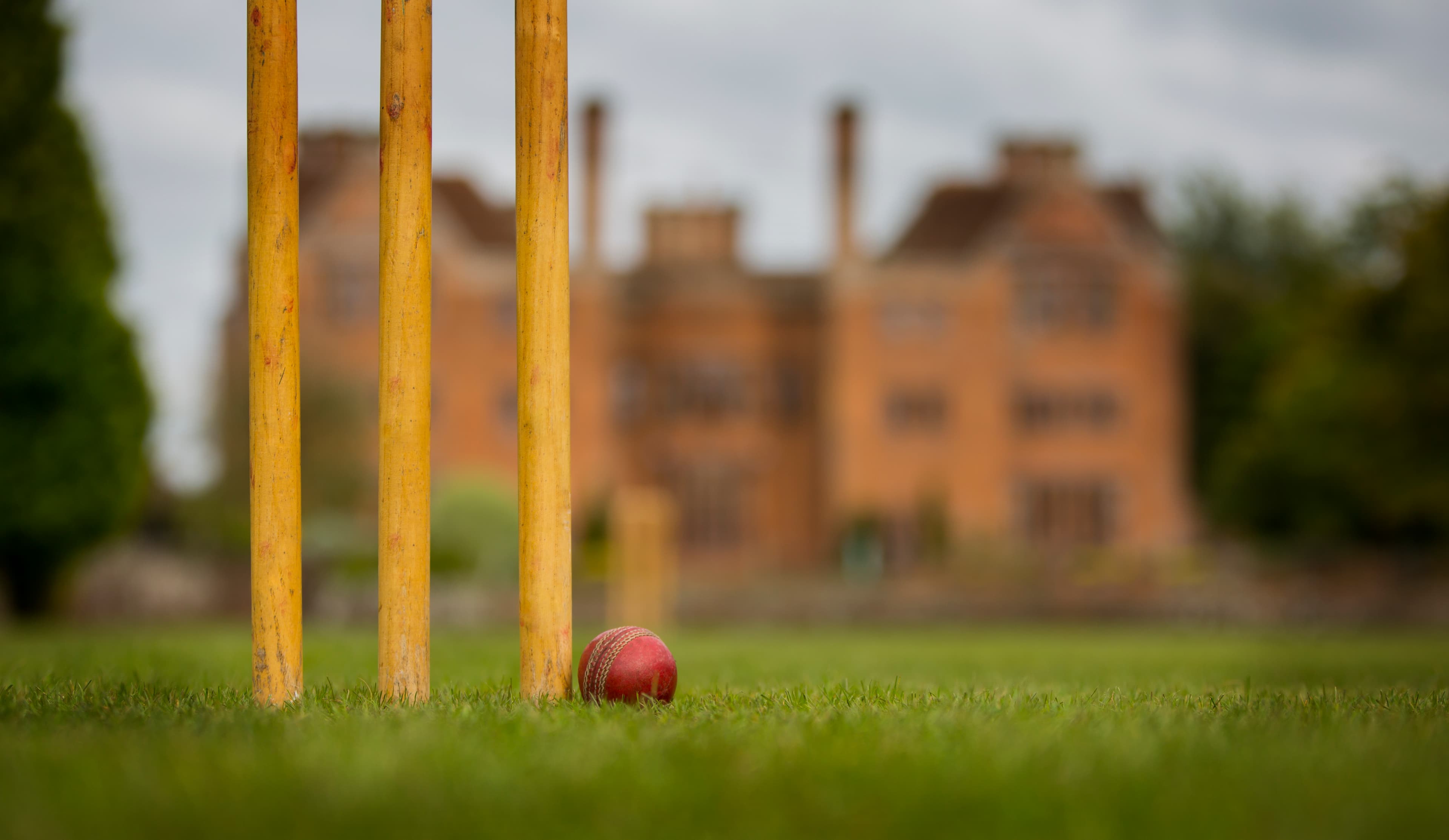New Place Hotel - Hampshire, Cricket Pitch photo #2