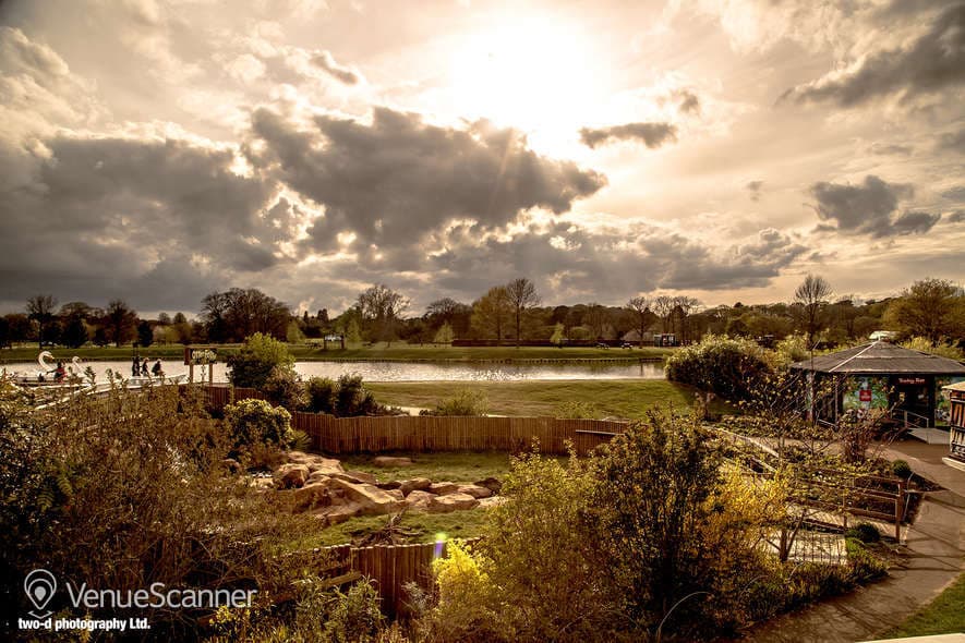 Safari Lodge, Woburn Safari Lodge photo #19