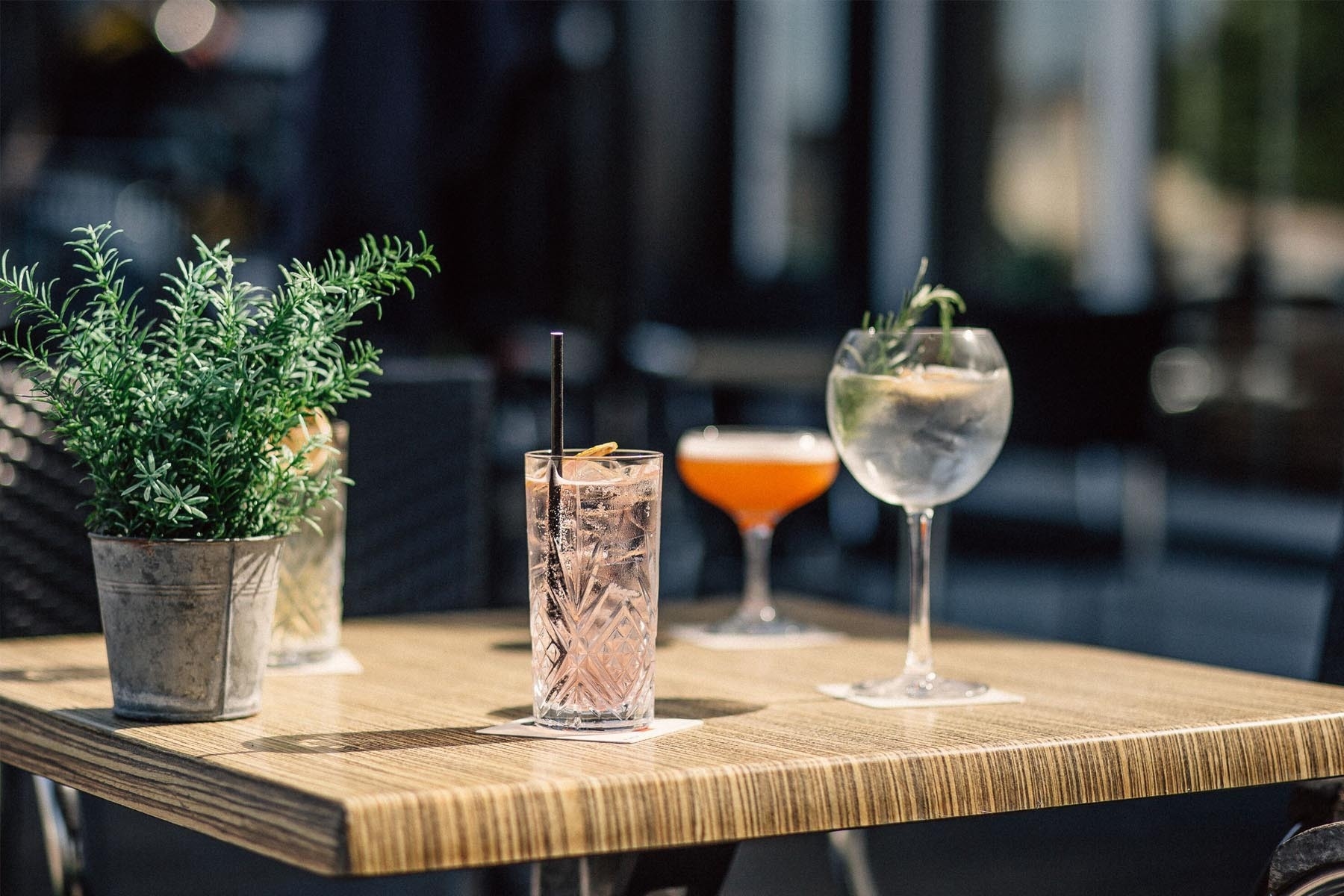 Photo of Palm Court Hotel