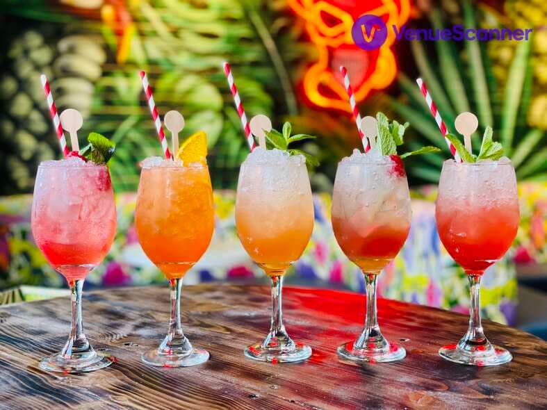 Rumba, Exclusive Hire photo #3