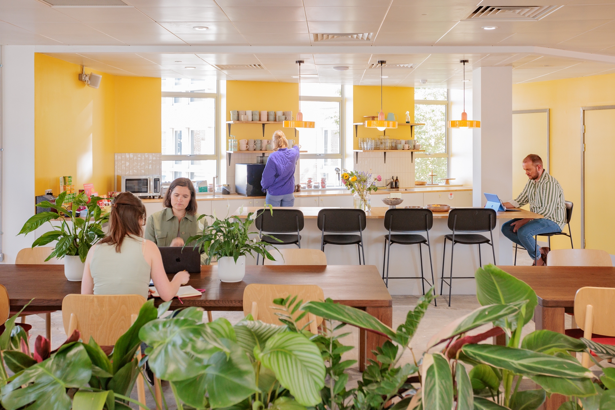 Photo of Patch Twickenham, Faraday Room (VC)