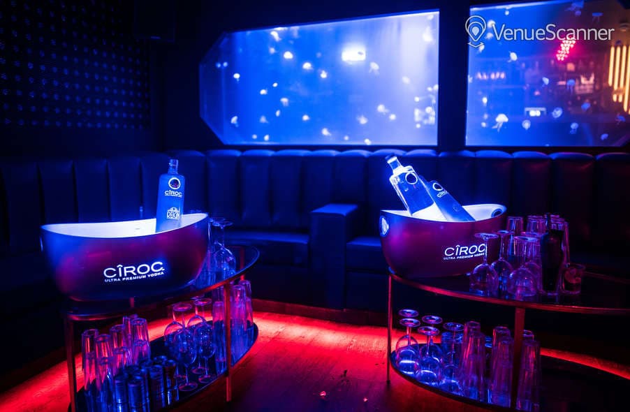 Christmas At The London Reign Showclub, Main Club photo #3