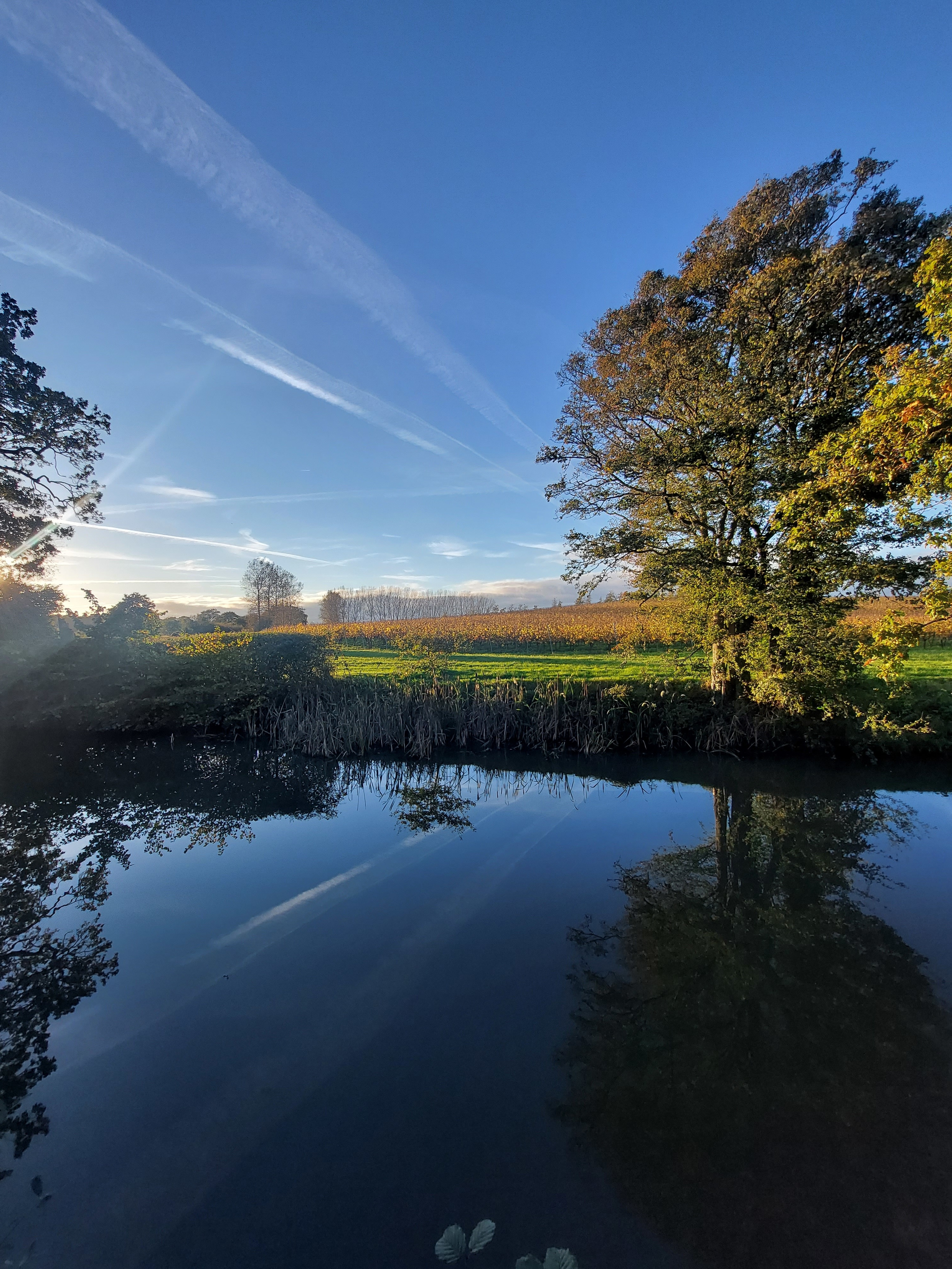 Photo of Albourne Estate