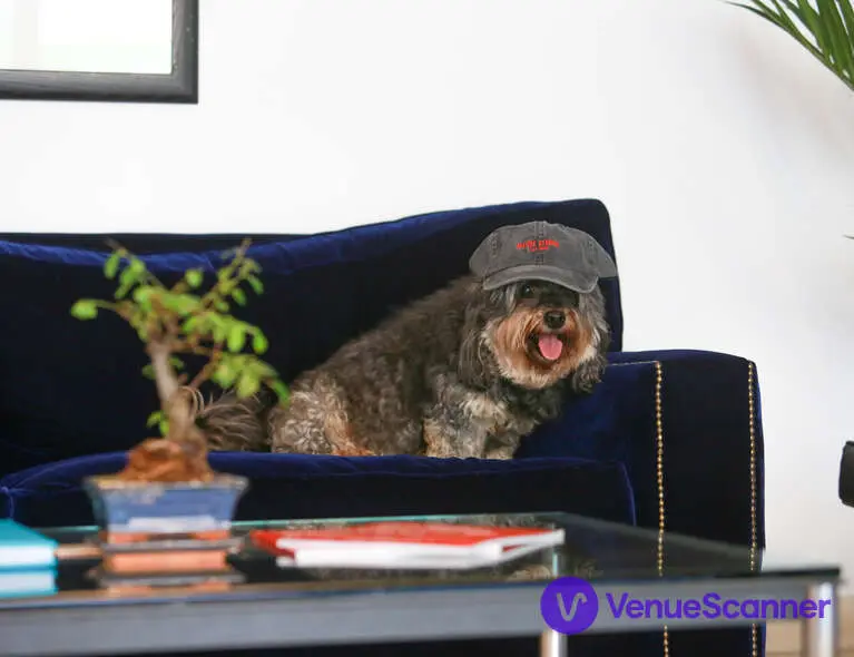 Matrix Studios photo #3