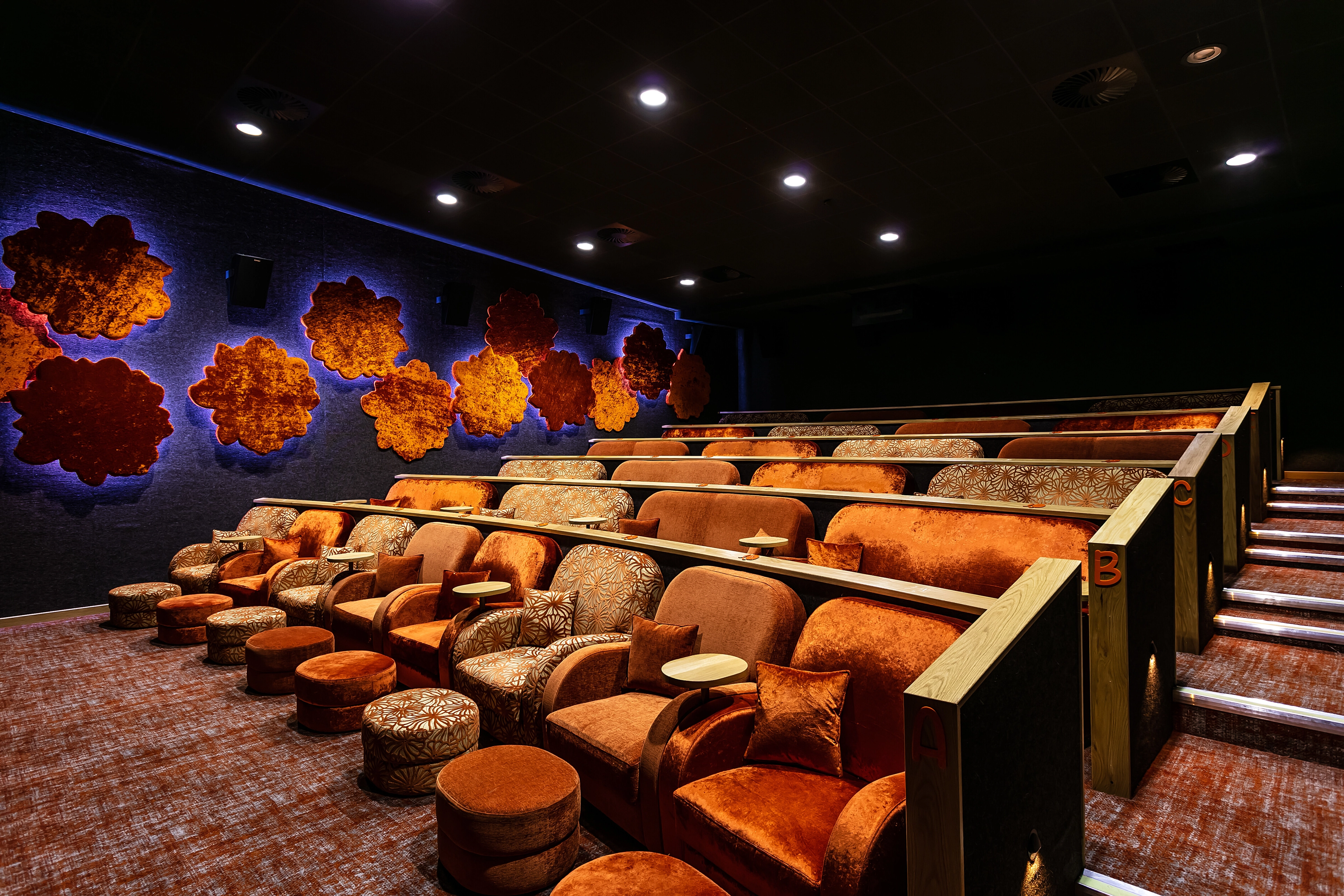 Photo of The Flower Bowl Entertainment Centre, Private Cinema Hire