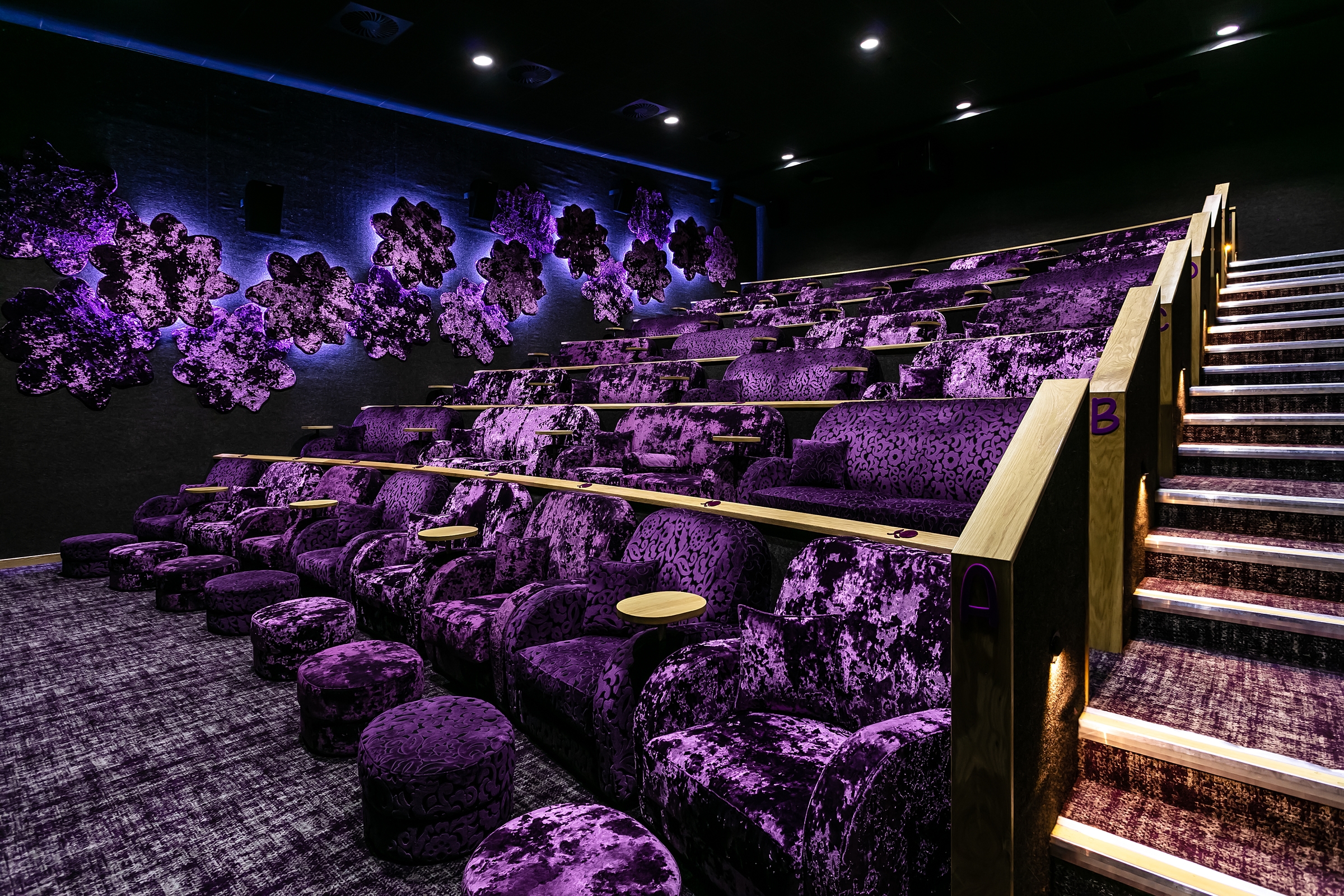 Photo of The Flower Bowl Entertainment Centre, Private Cinema Hire