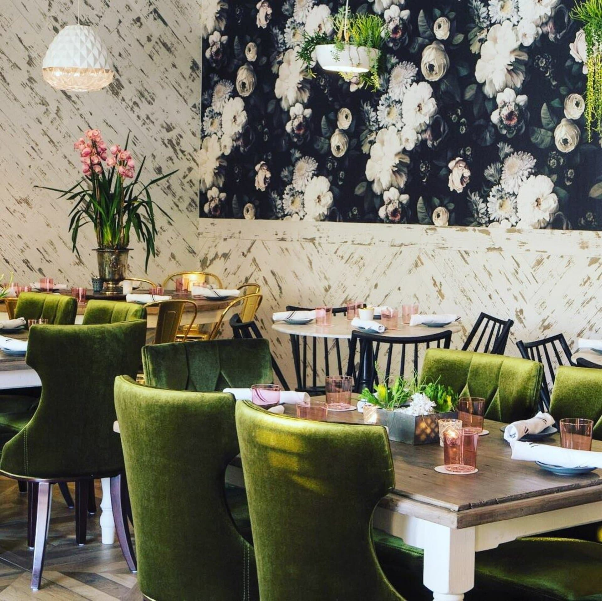Main Dining Room, Grizzelda’s photo #2