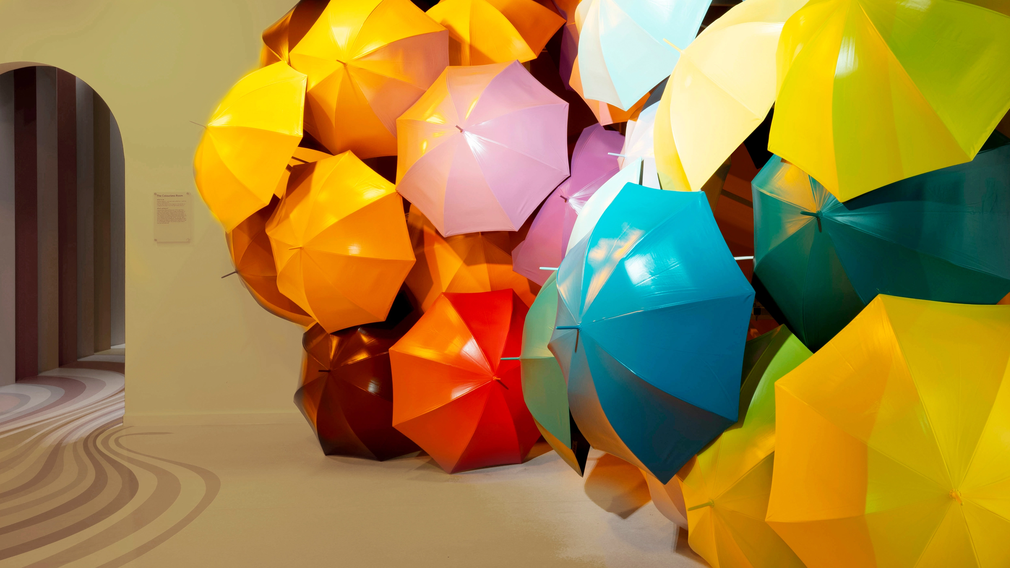 Photo of Twist Museum