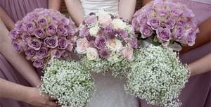 The Cambridge Belfry photo #2