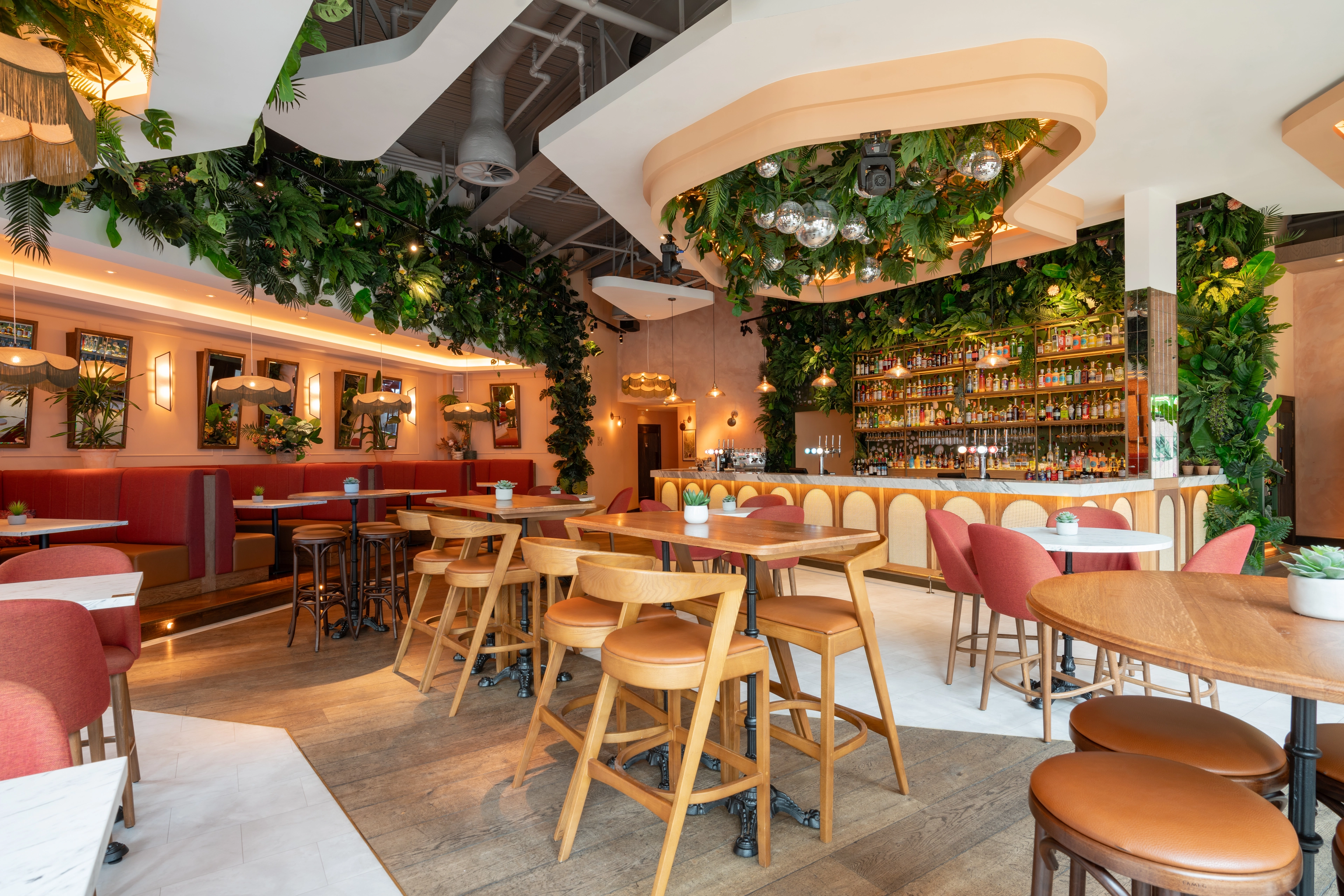 Photo of The Palm House, The Bar