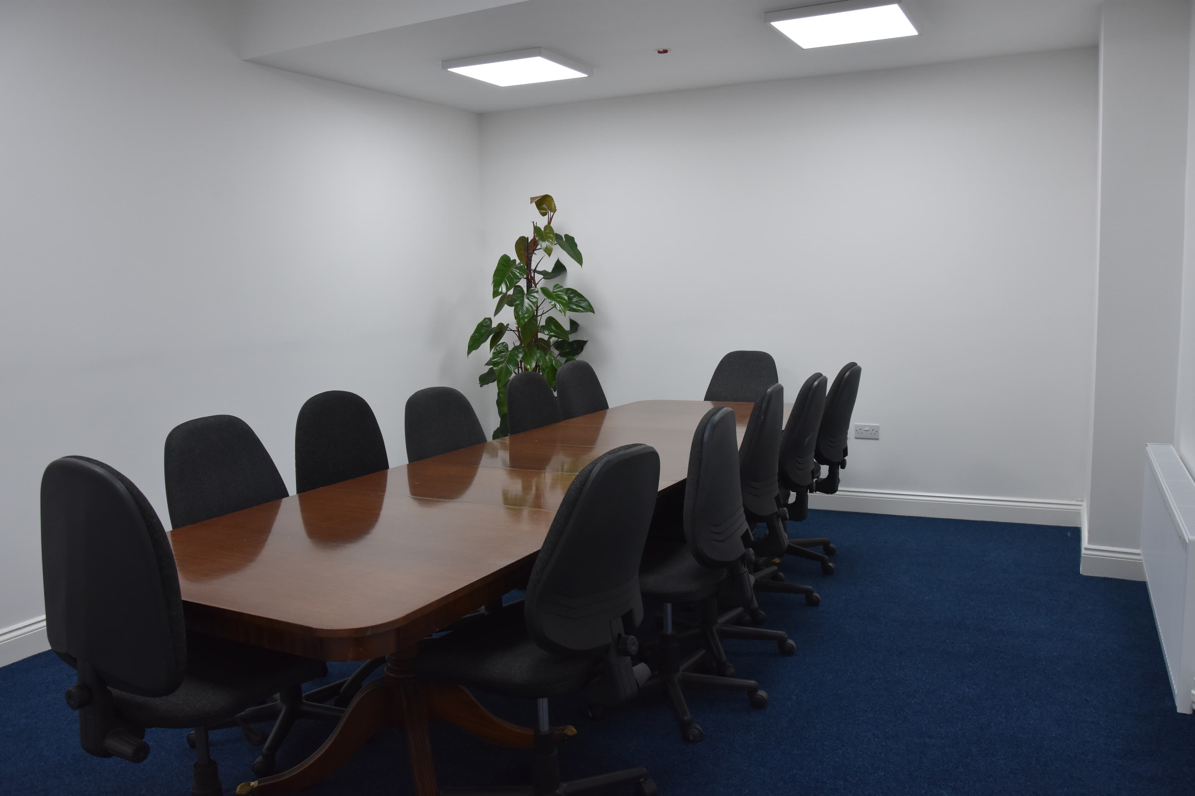 Quadrant House Wimbledon, Tulip photo #2